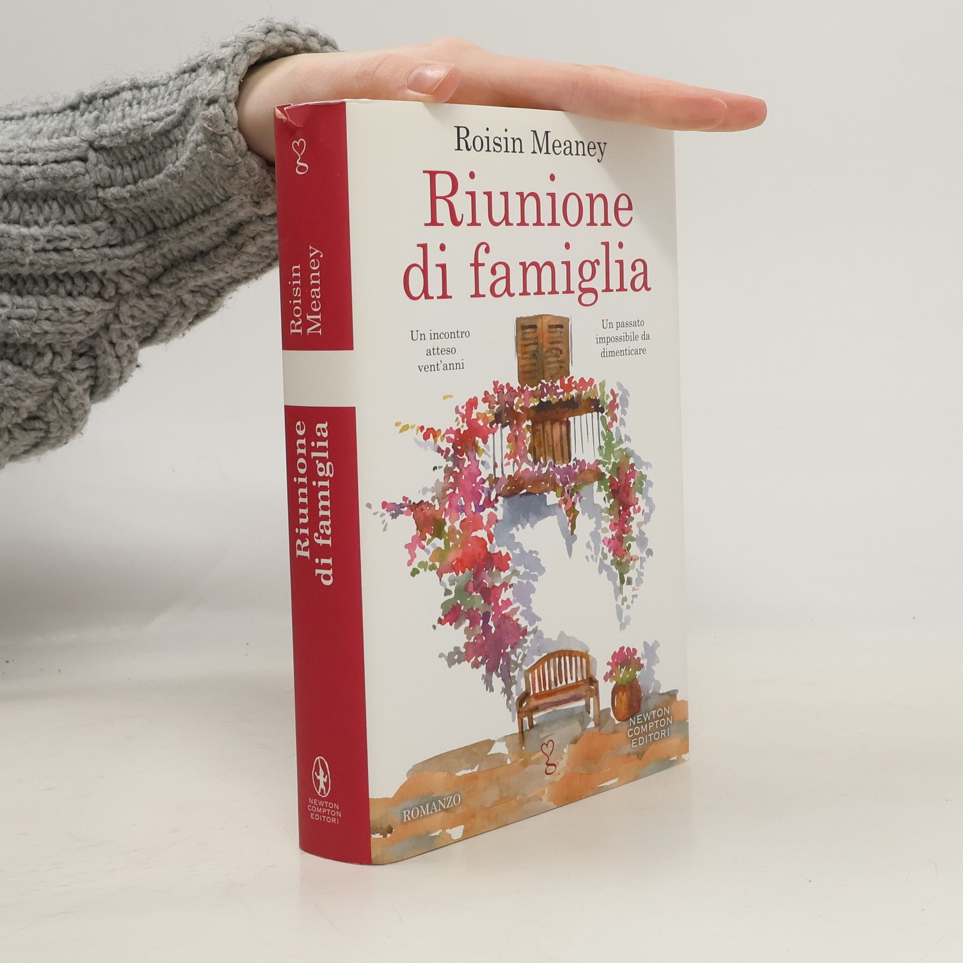Roisin Meaney Riunione di famiglia