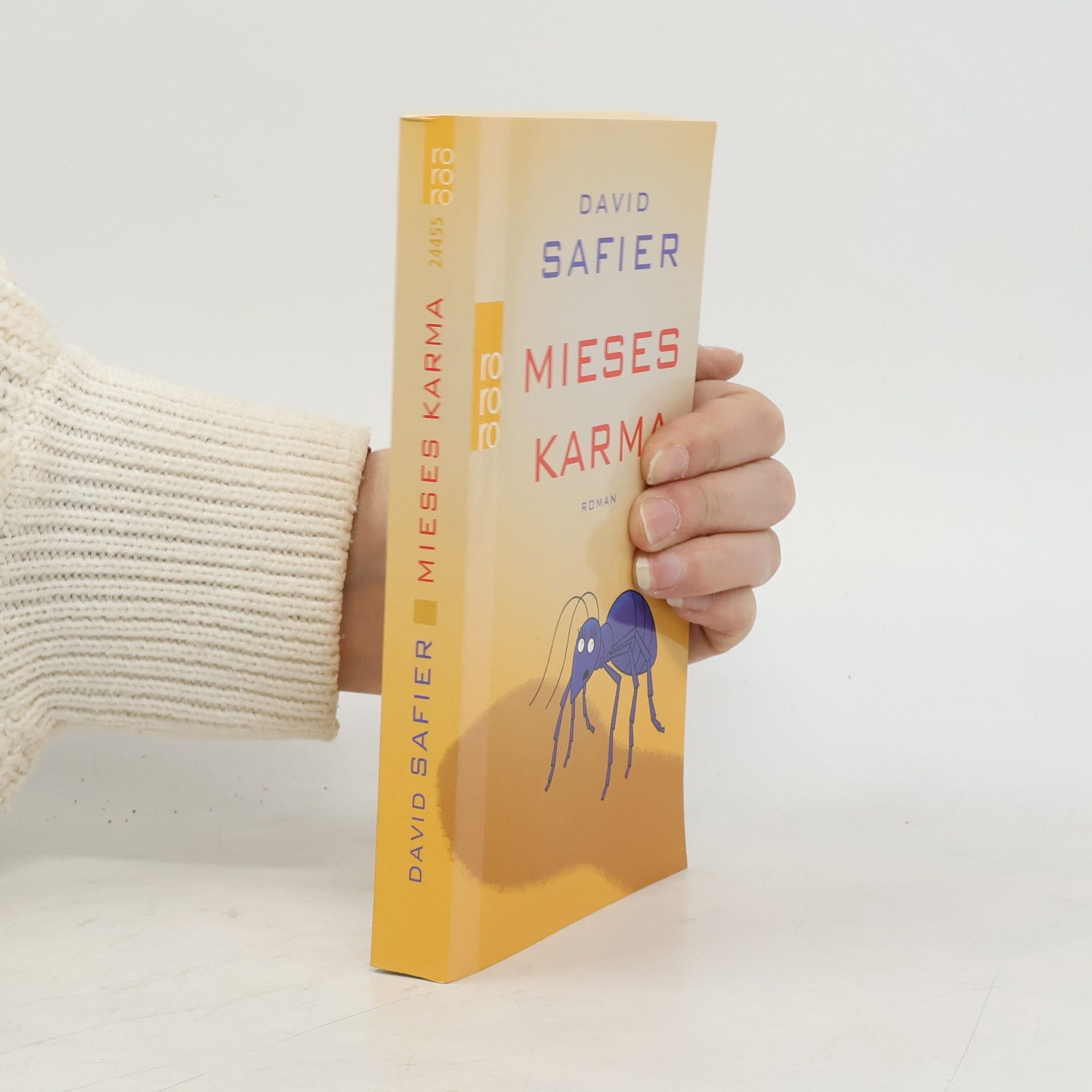 David Safier Mieses Karma