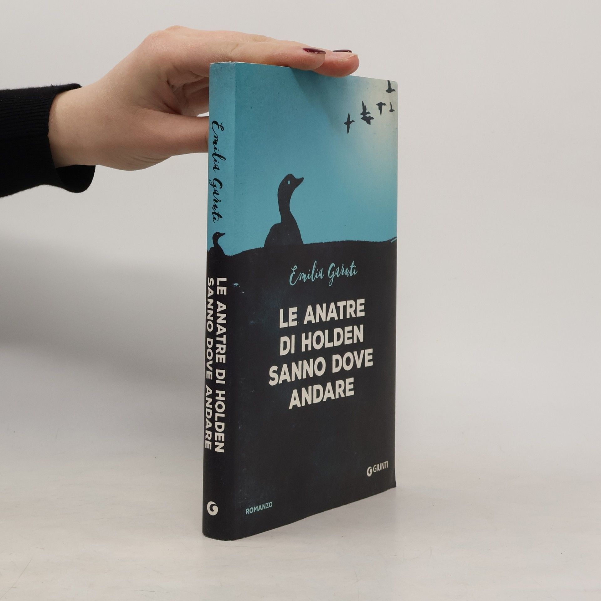 Emilia Garuti Le anatre di Holden sanno dove andare