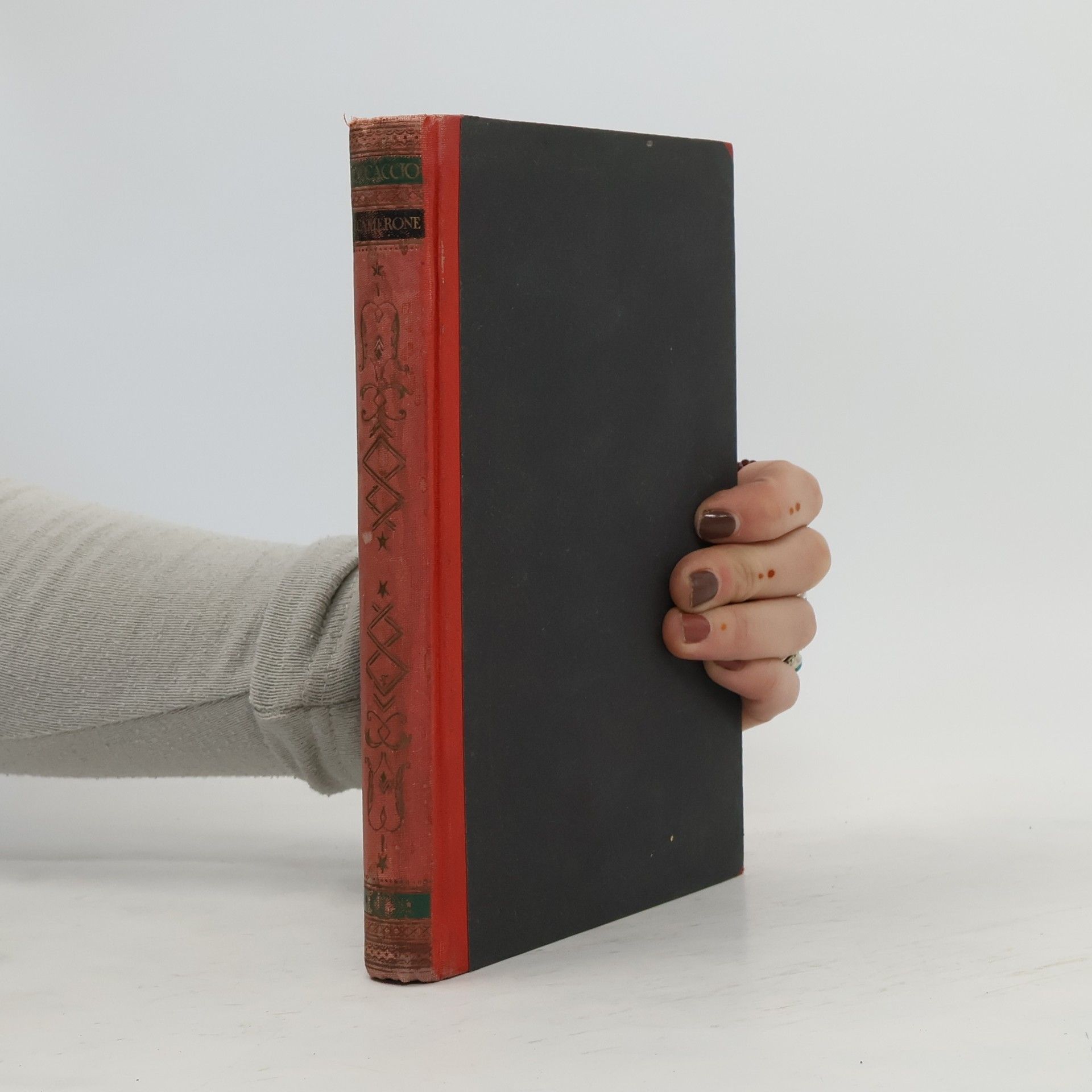 Giovanni Boccaccio Der Decamerone 2