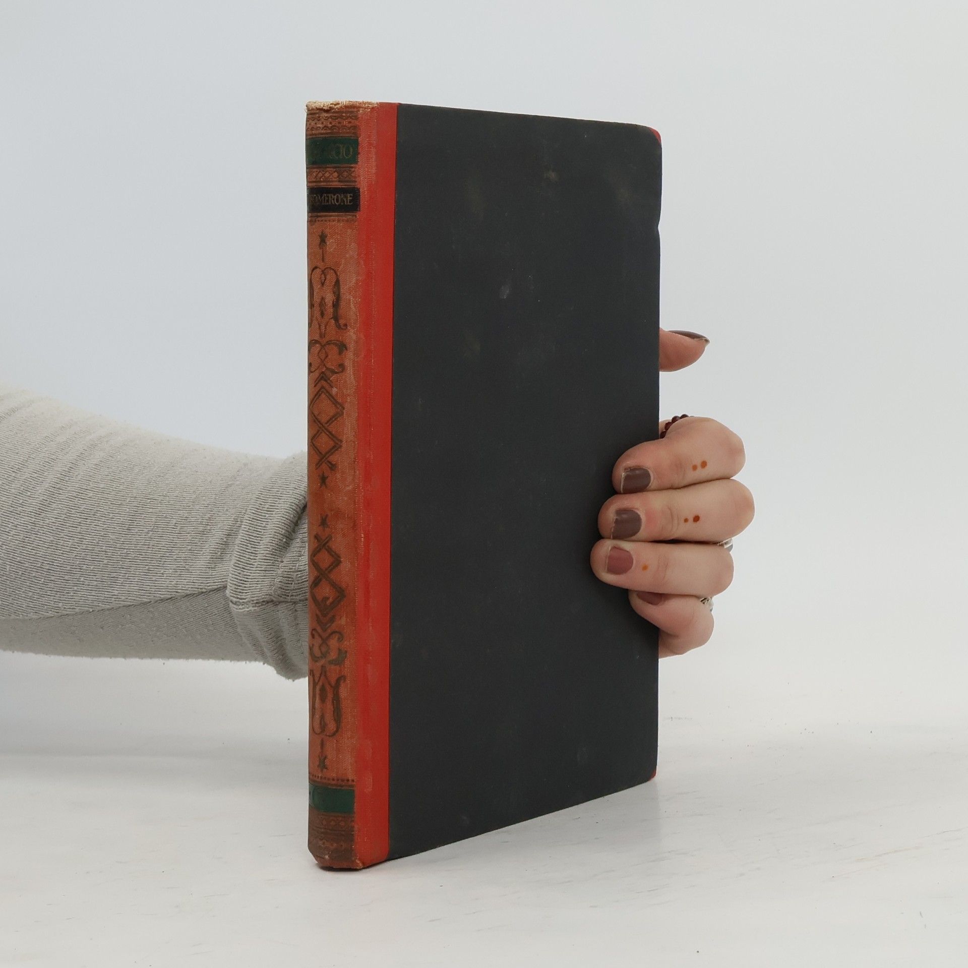 Giovanni Boccaccio Der Decamerone IV