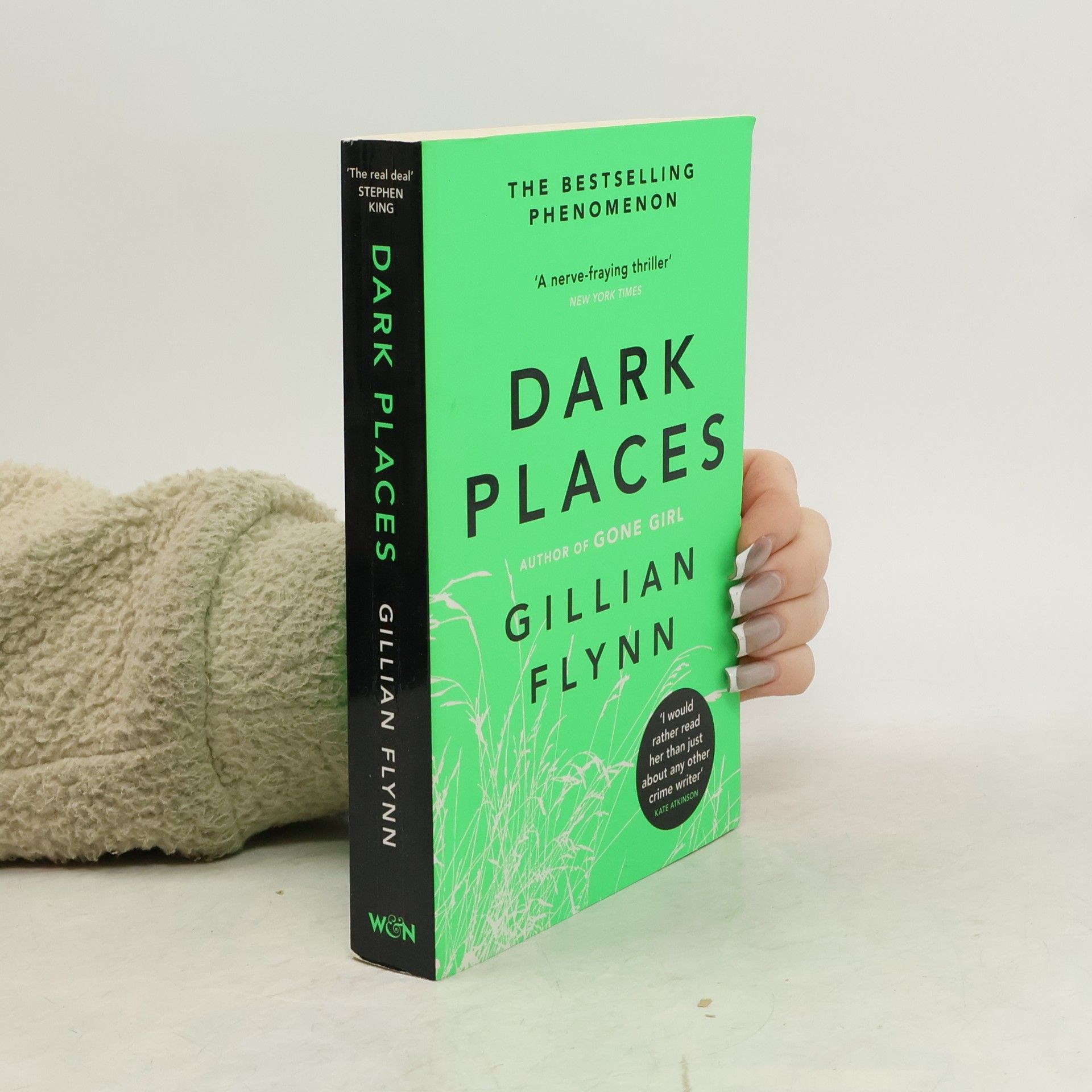 Gillian Flynn Dark Places
