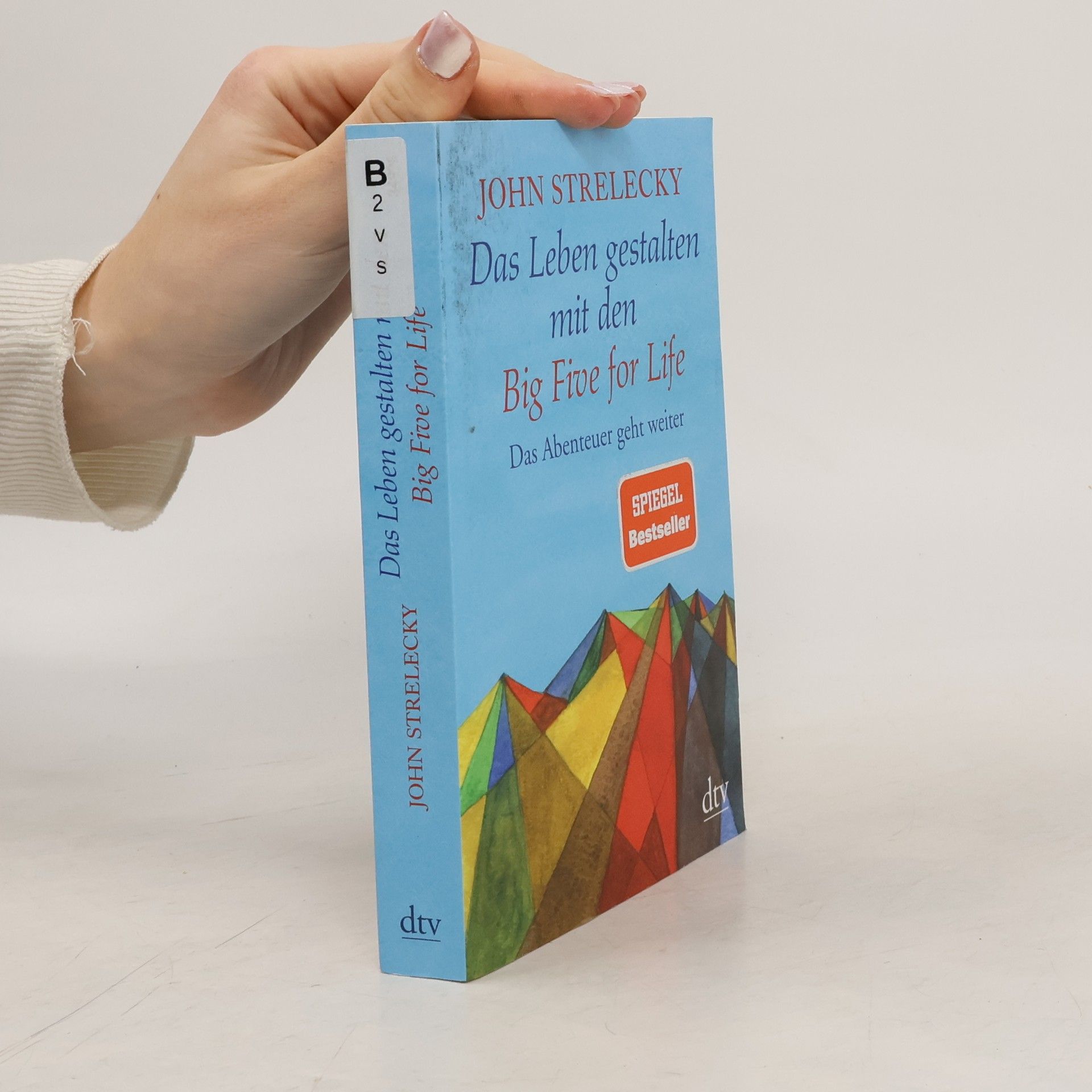 John Strelecky Das Leben gestalten mit den Big Five for Life