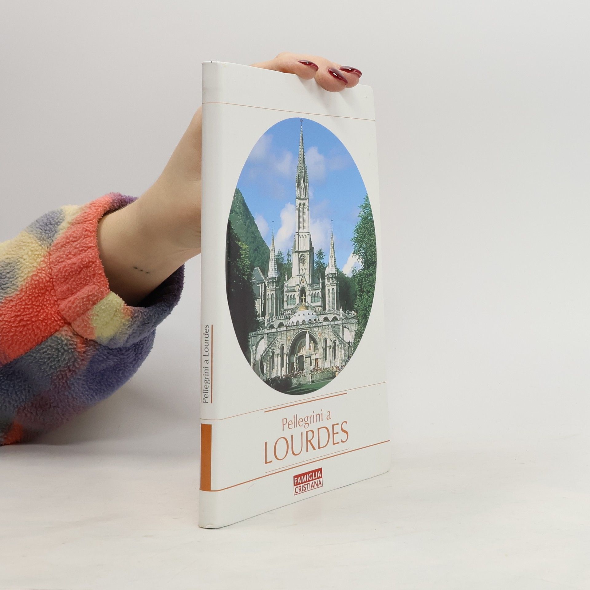 Luciano Nervi Pellegrini a Lourdes