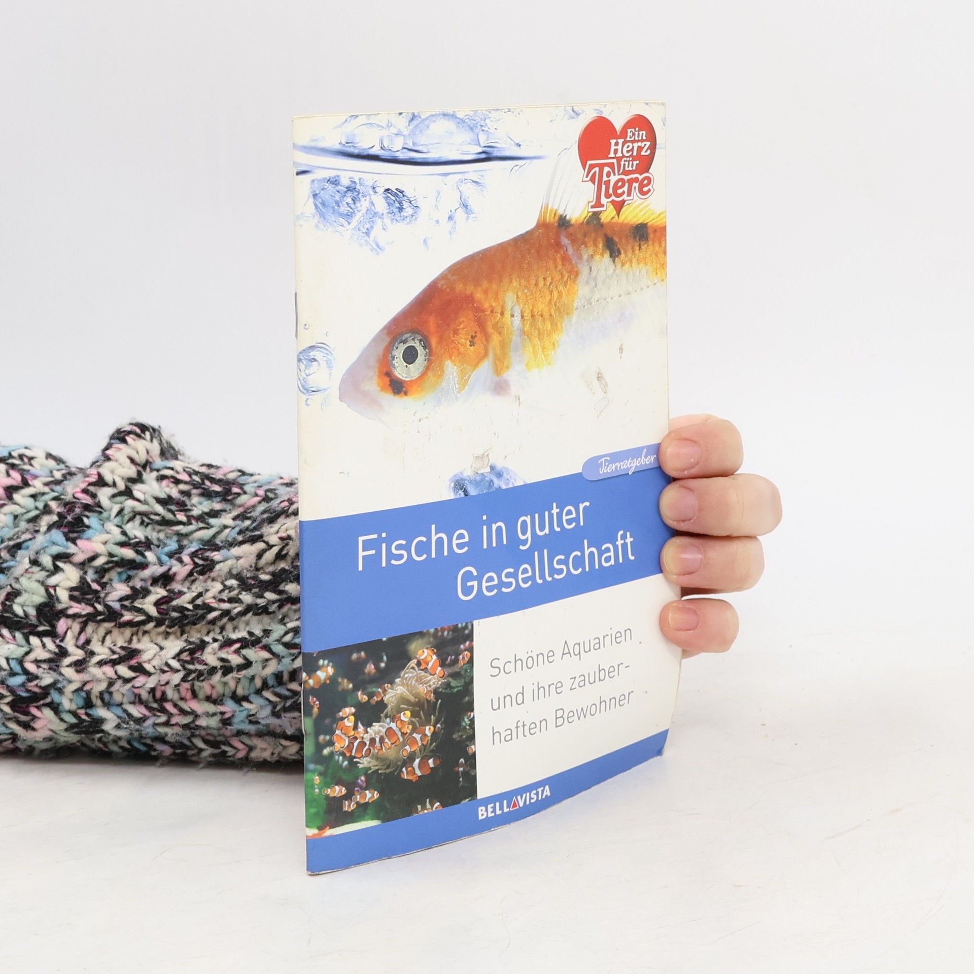 Autorenkollektiv Fische in guter Gesellschaft