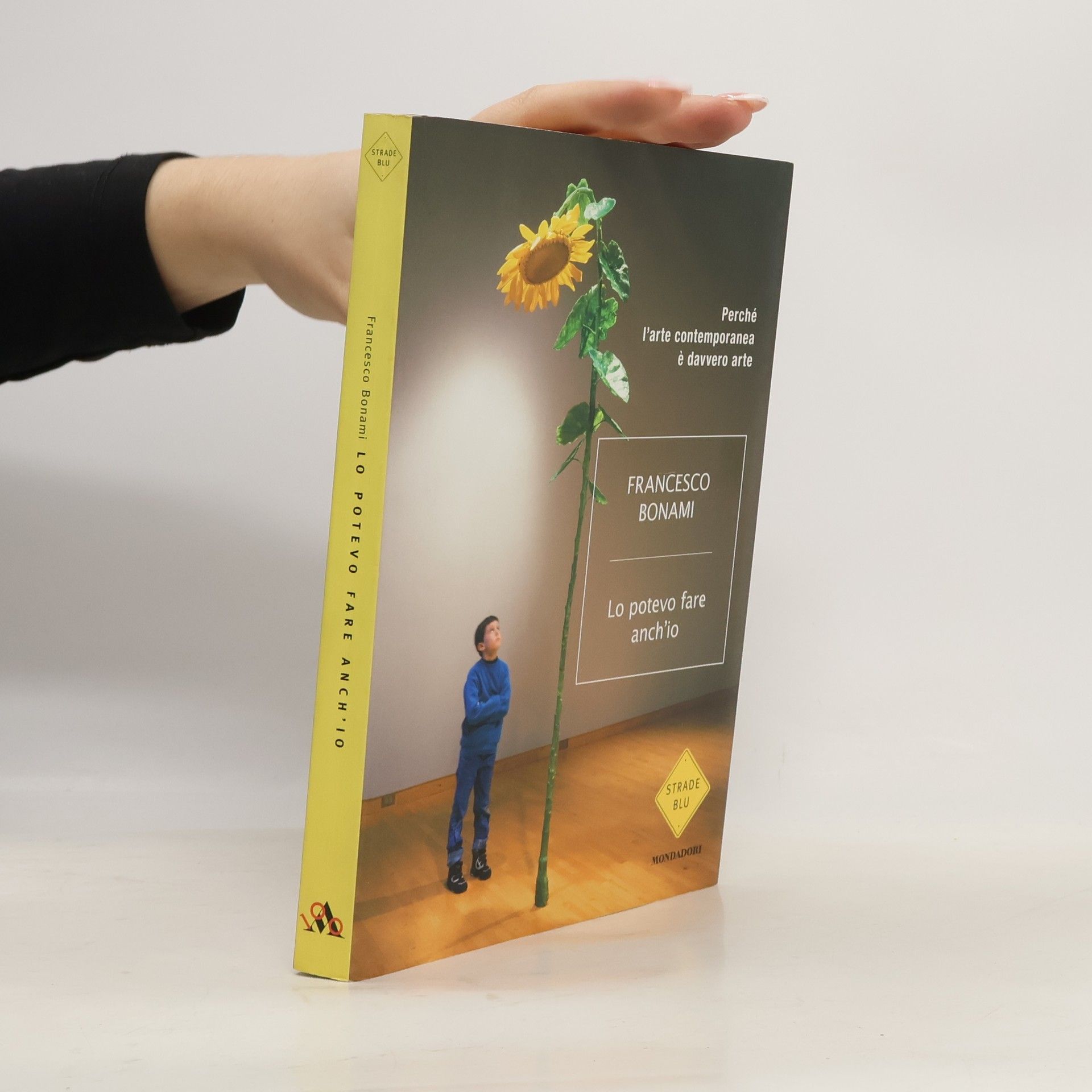 Francesco Bonami Strade Blu: Lo potevo fare anch'io. Perché l'arte contemporanea è davvero arte