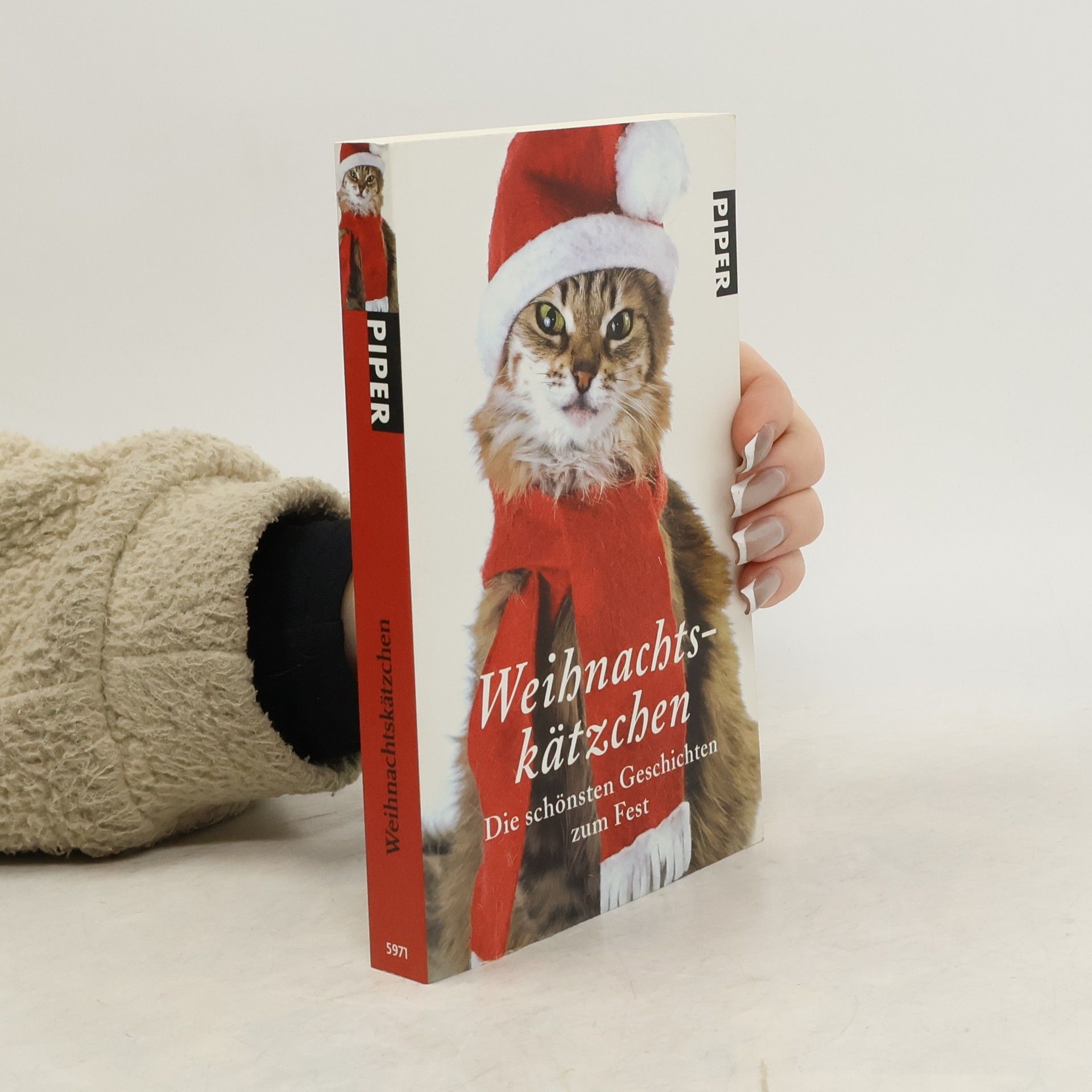 Jone Heer Weihnachtskätzchen