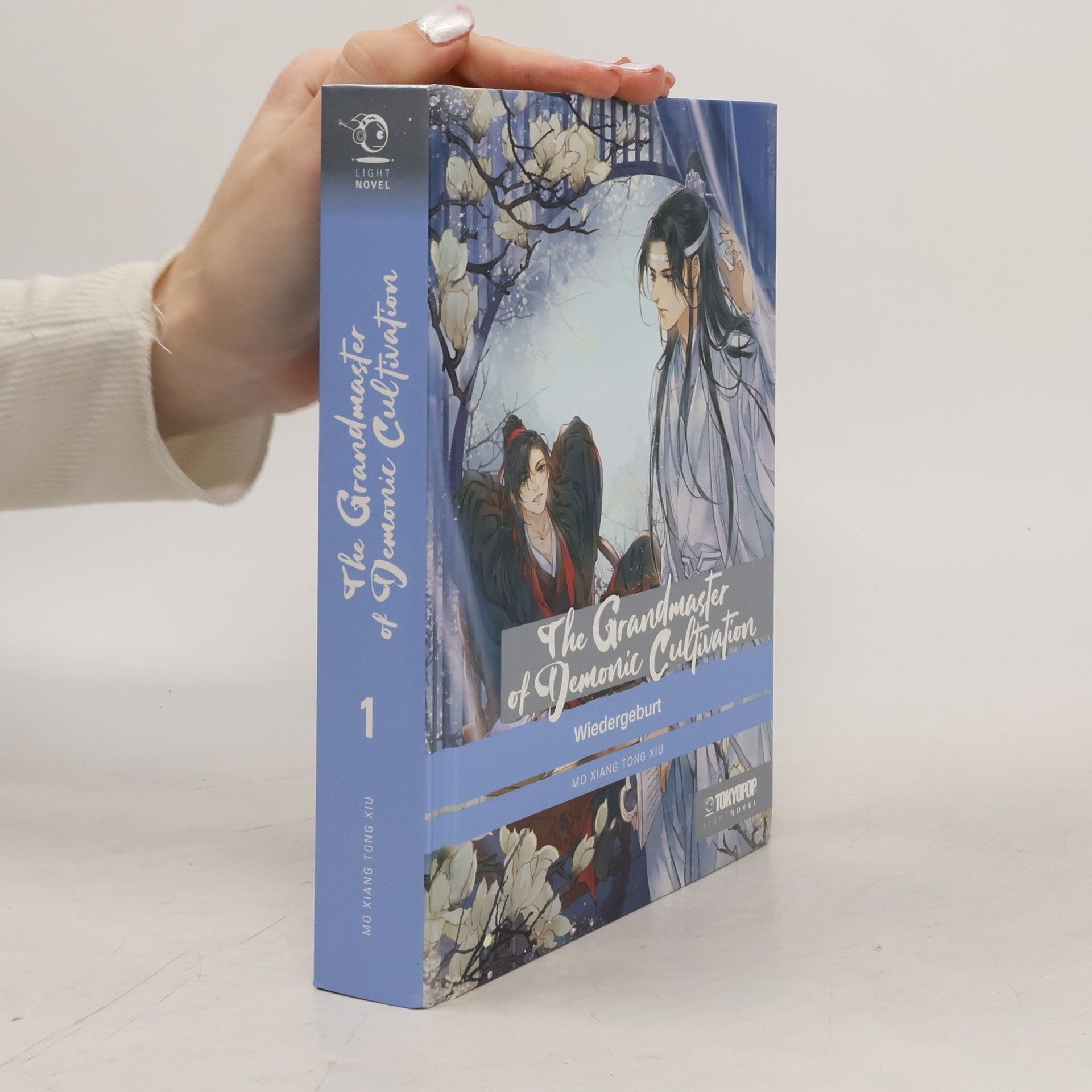 The Grandmaster of Demonic Cultivation