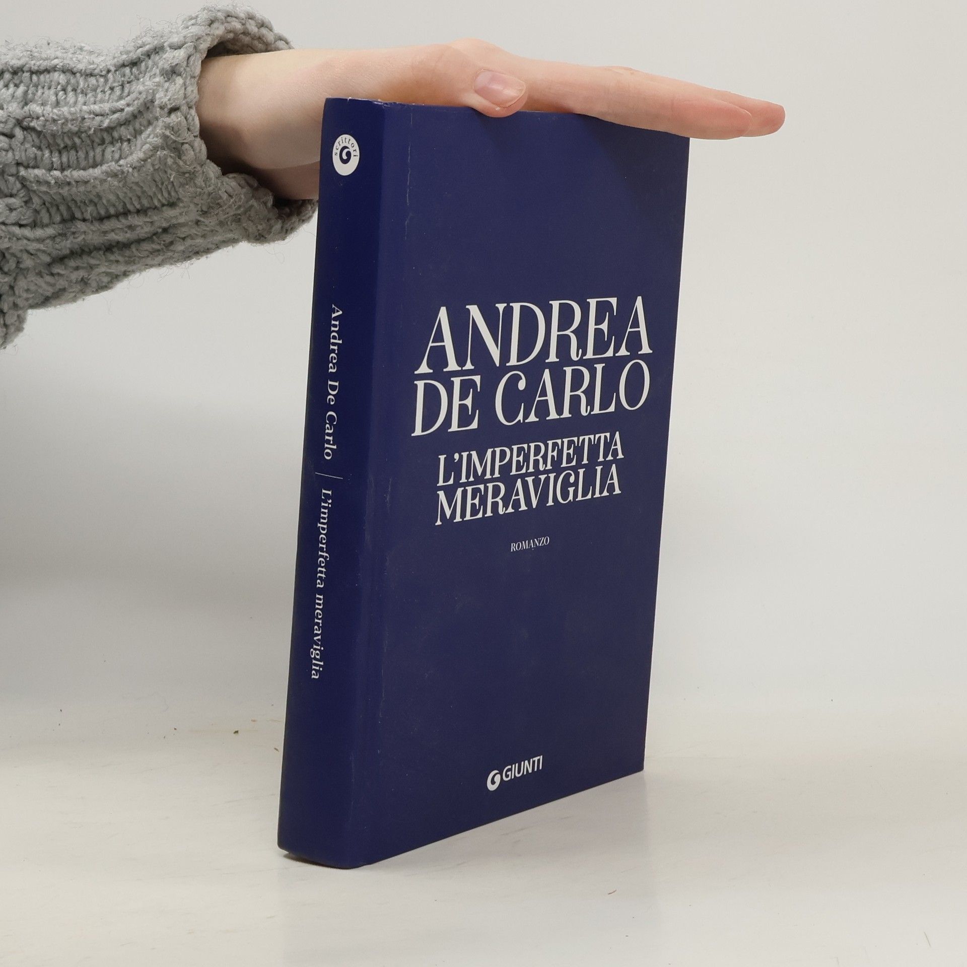 Andrea De Carlo L'imperfetta meraviglia