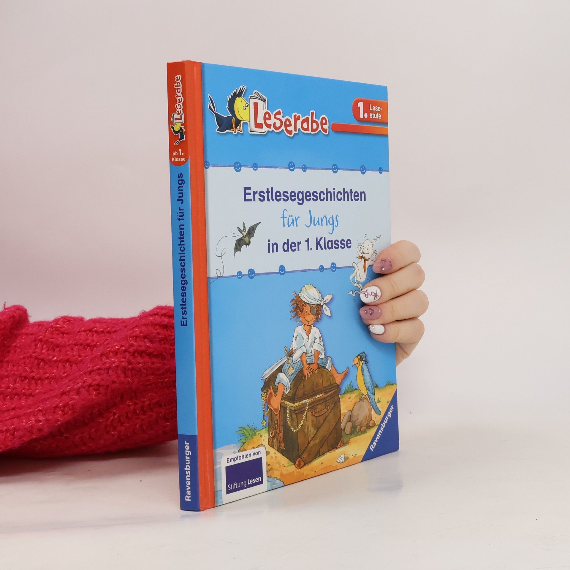 Silke Voigt Erstlesegeschichten für Jungs in der 1. Klasse