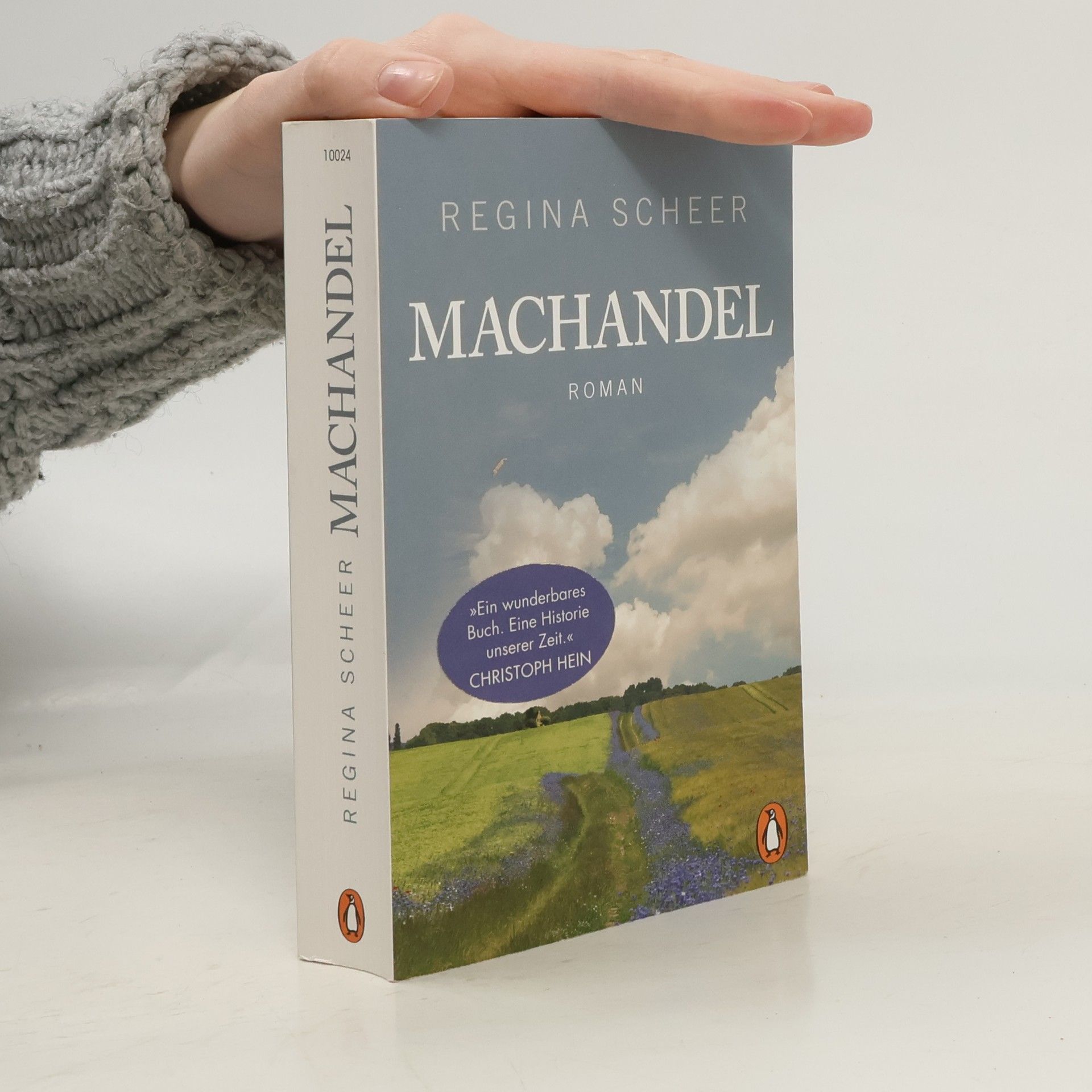 Regina Scheer Machandel