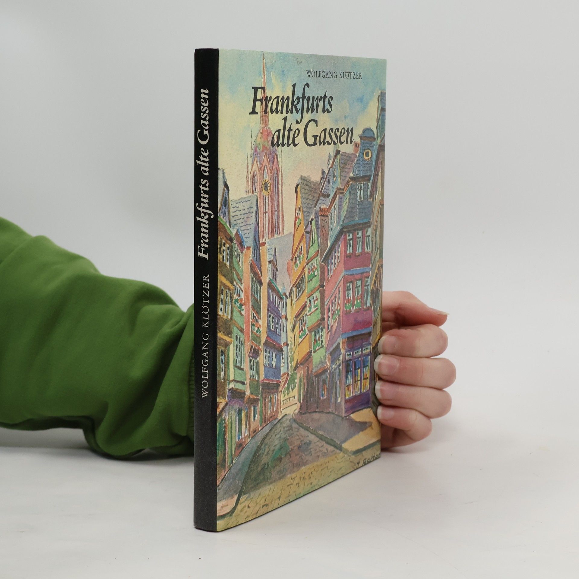 Frankfurts alte Gassen