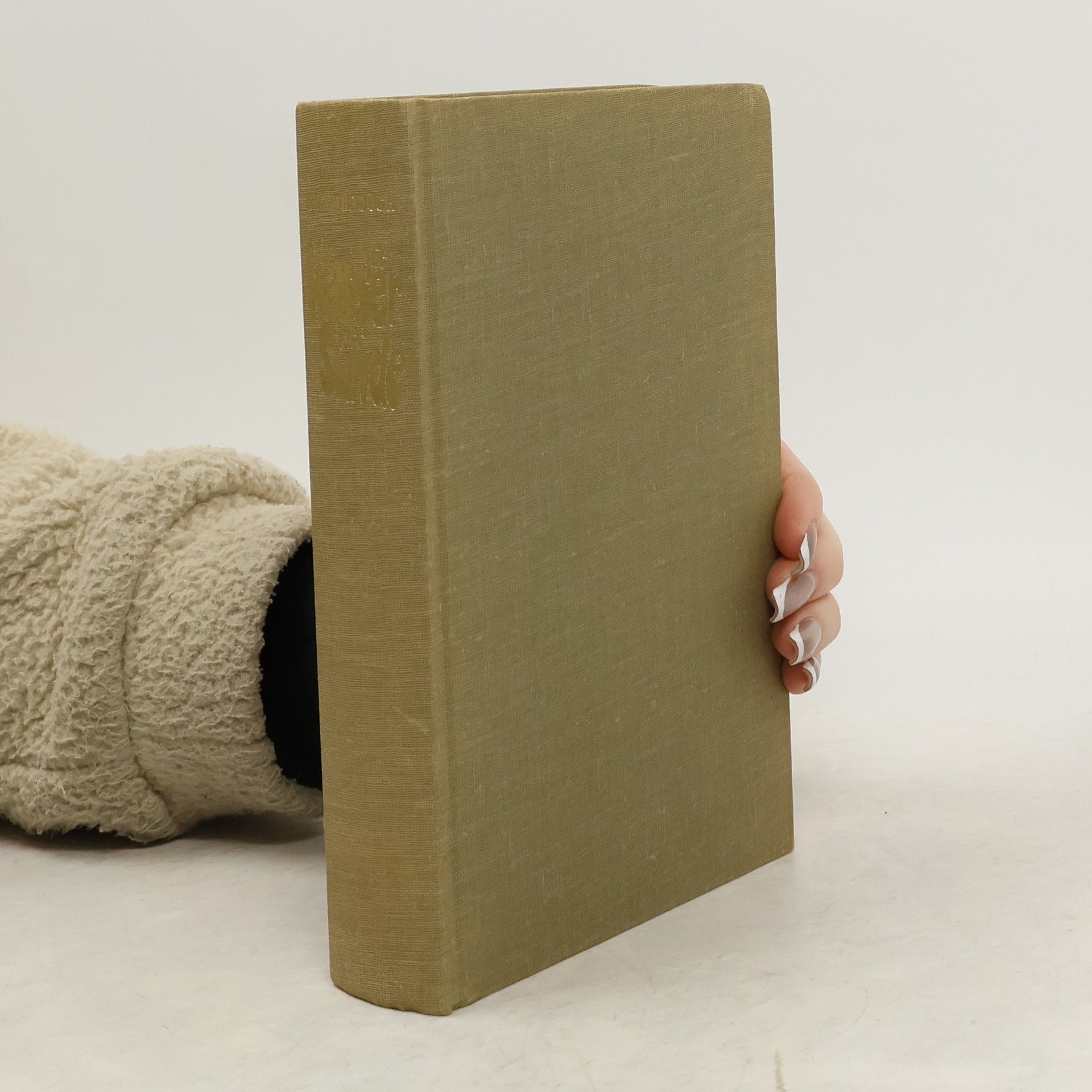 Iris Murdoch Die Wasser der Sünde