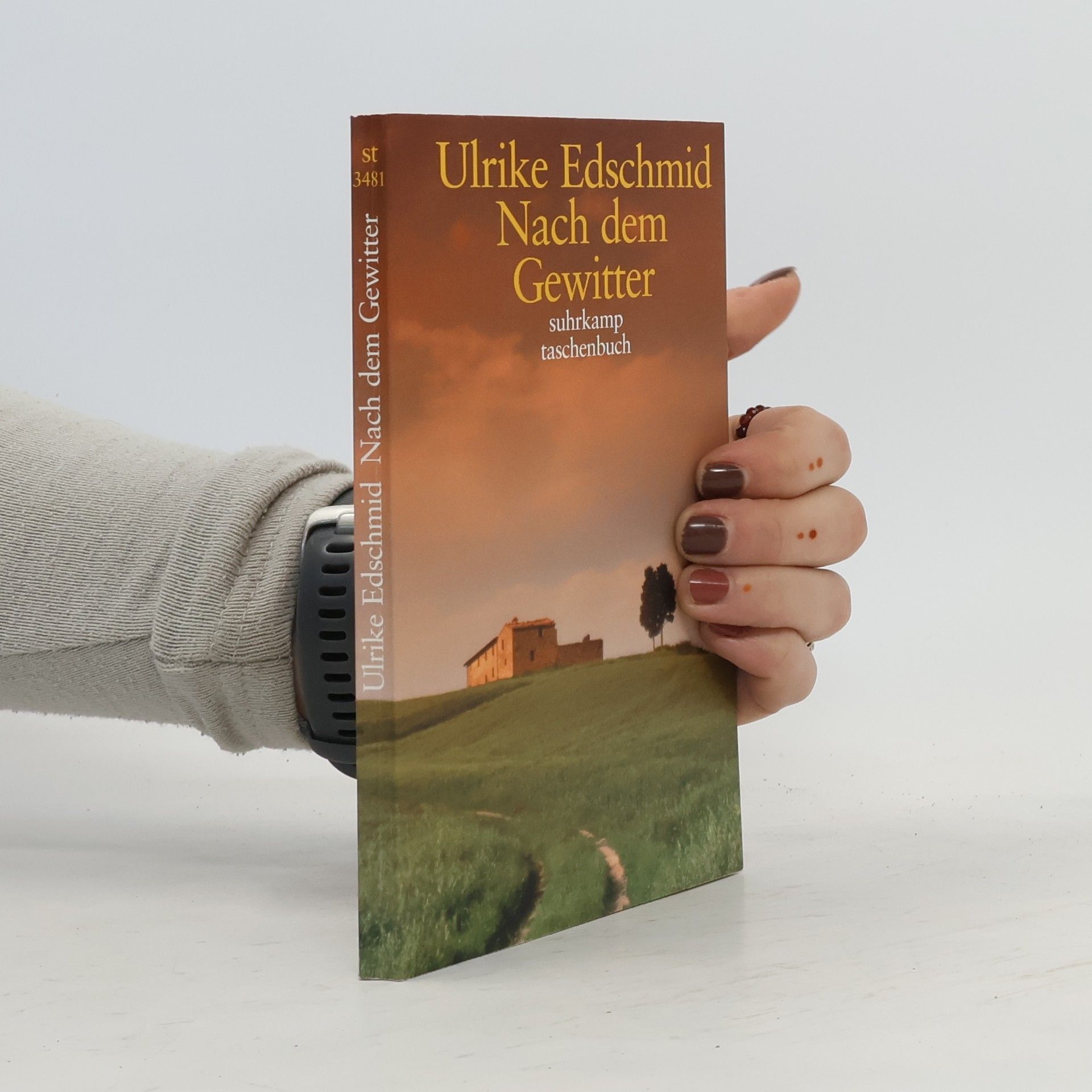 Ulrike Edschmid Nach dem Gewitter