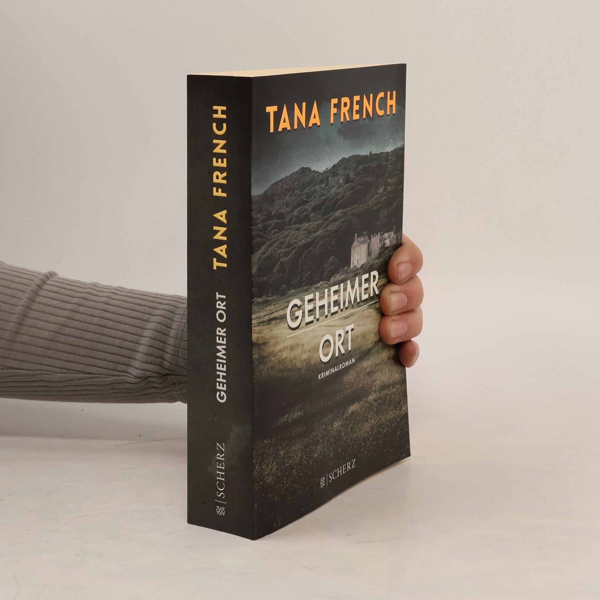 Tana French Geheimer Ort