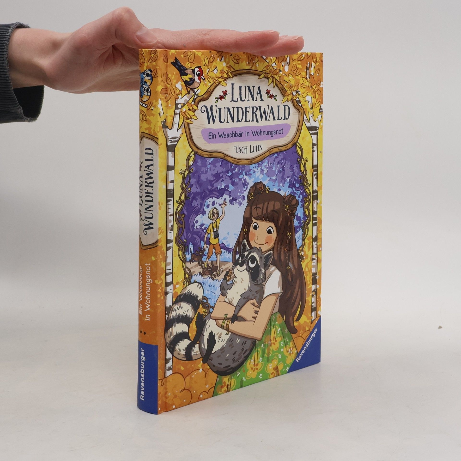 Usch Luhn Ein Waschbär in Wohnungsnot