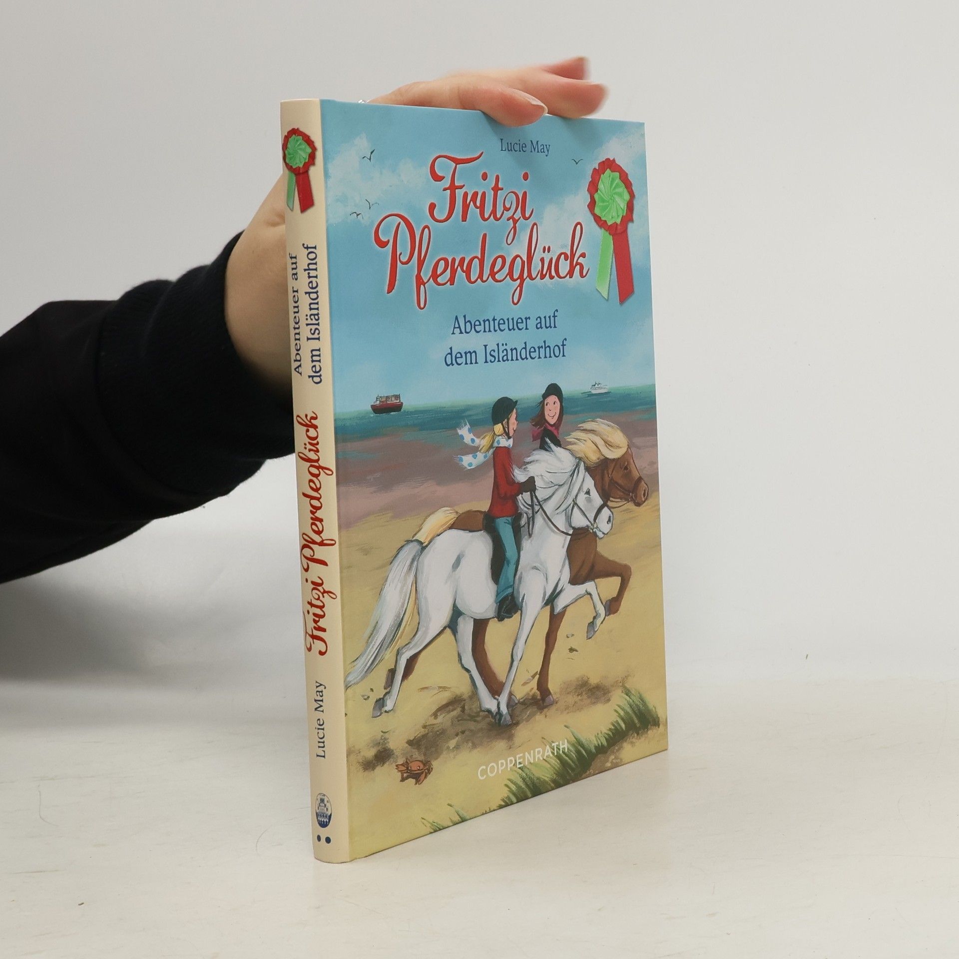 Lucie May Fritzi Pferdeglück - Abenteuer auf dem Isländerhof