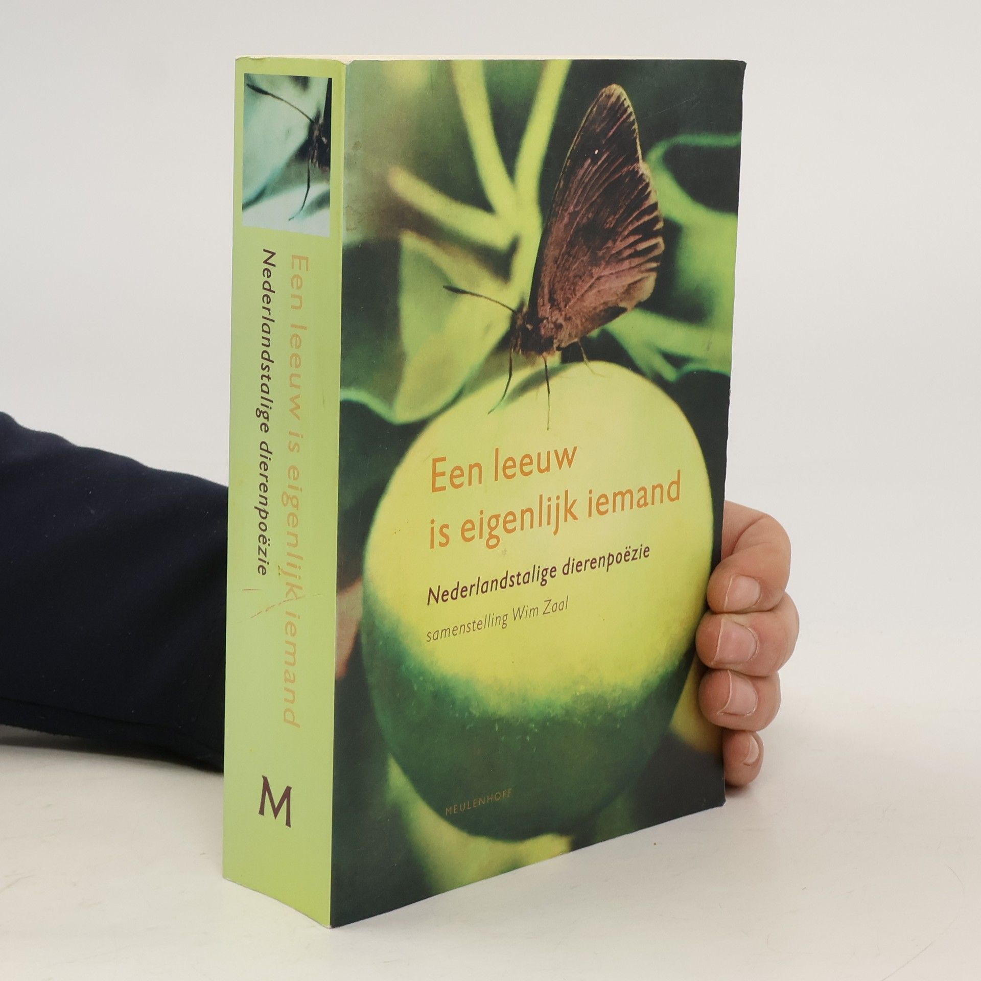 Wim Zaal Een Leeuw is eigenlijk iemand