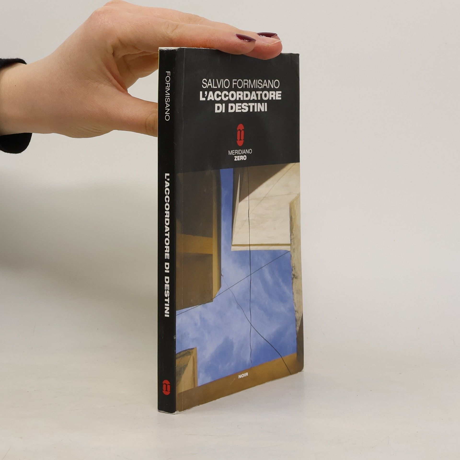 Salvio Formisano Meridiano Zero: L'accordatore di destini