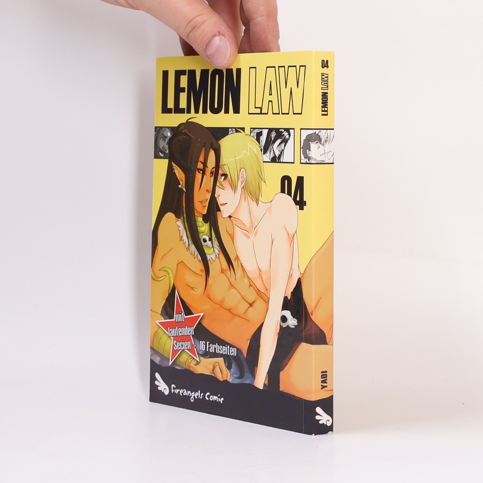 Anne Delseit Lemon Law