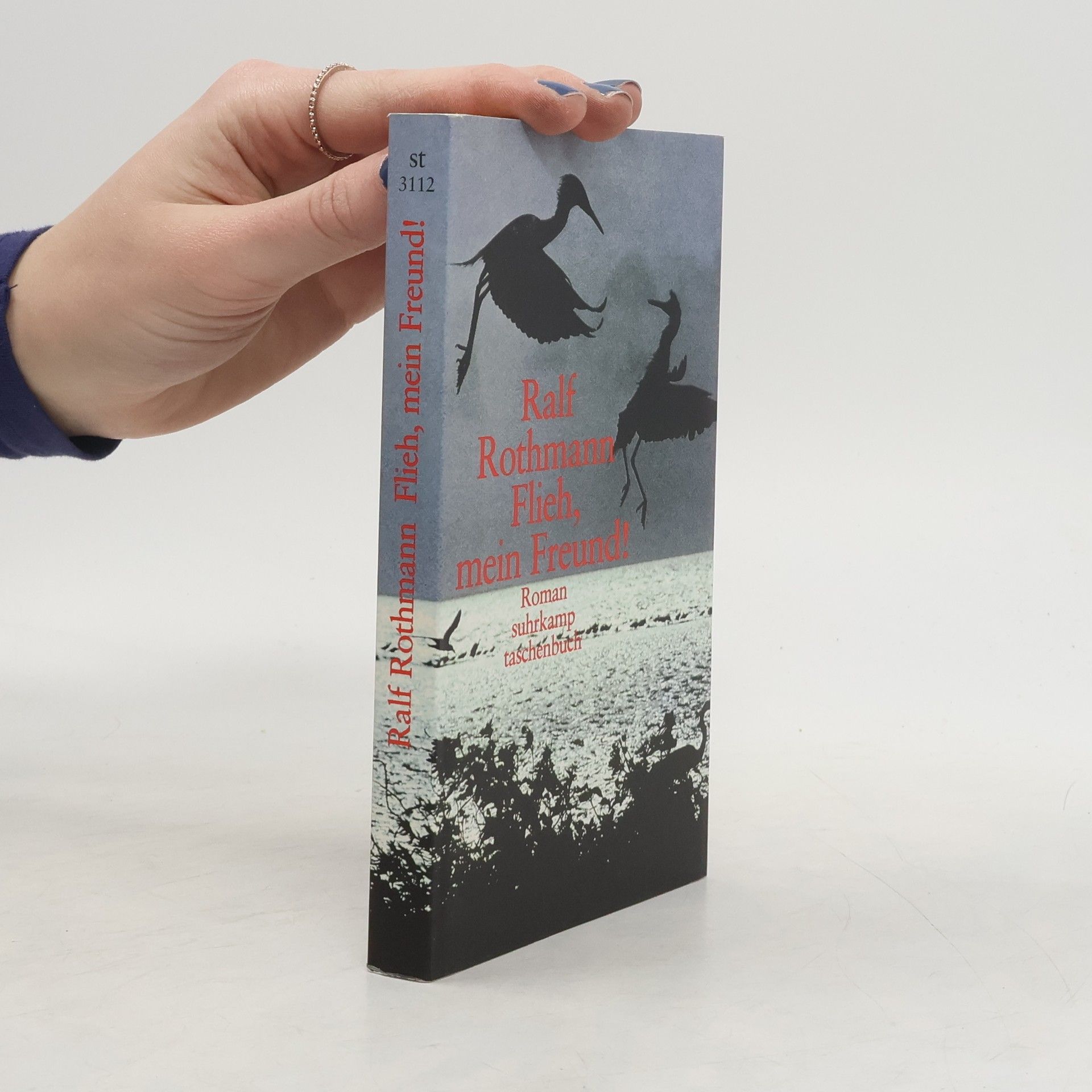 Ralf Rothmann Flieh, mein Freund!