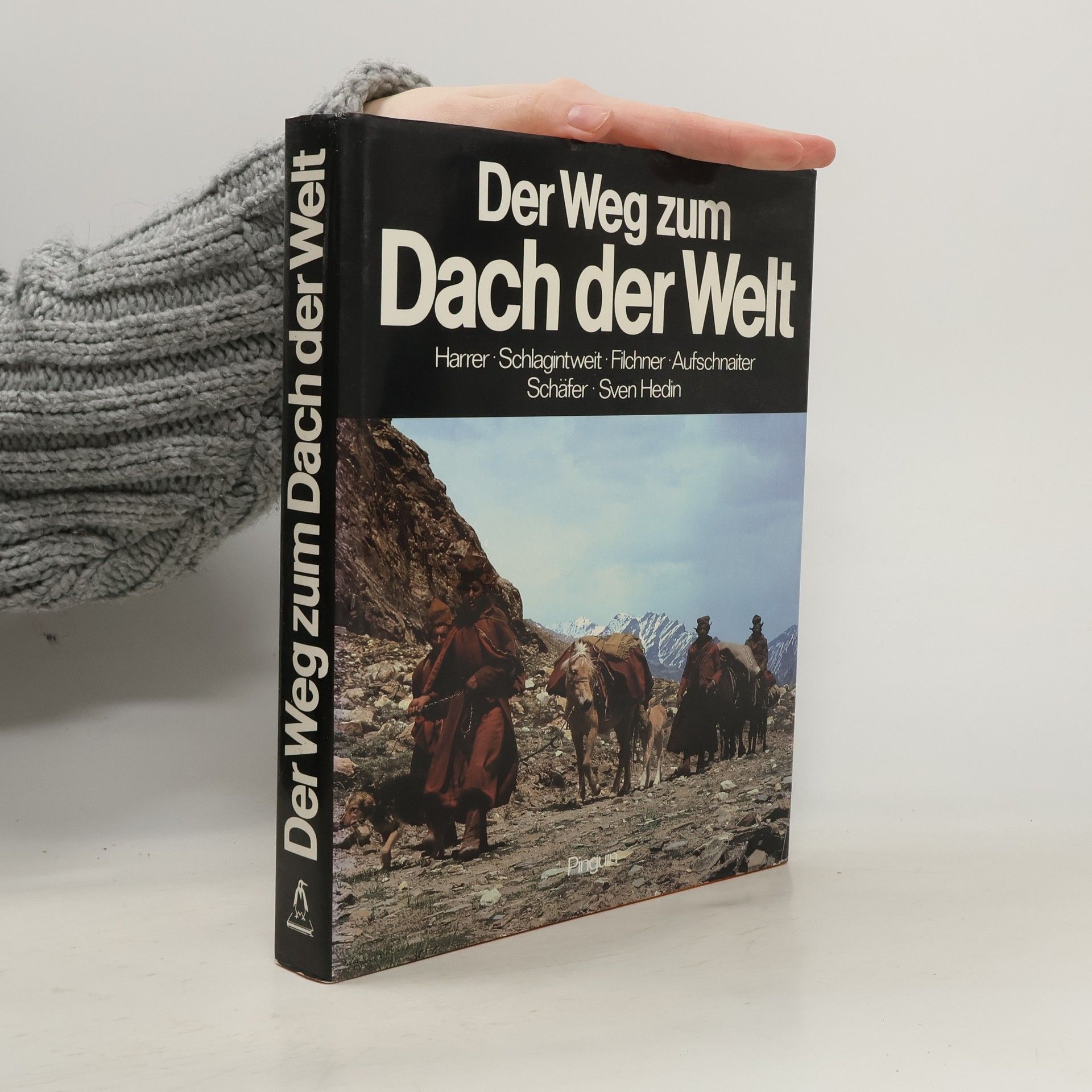 Der Weg zum Dach der Welt