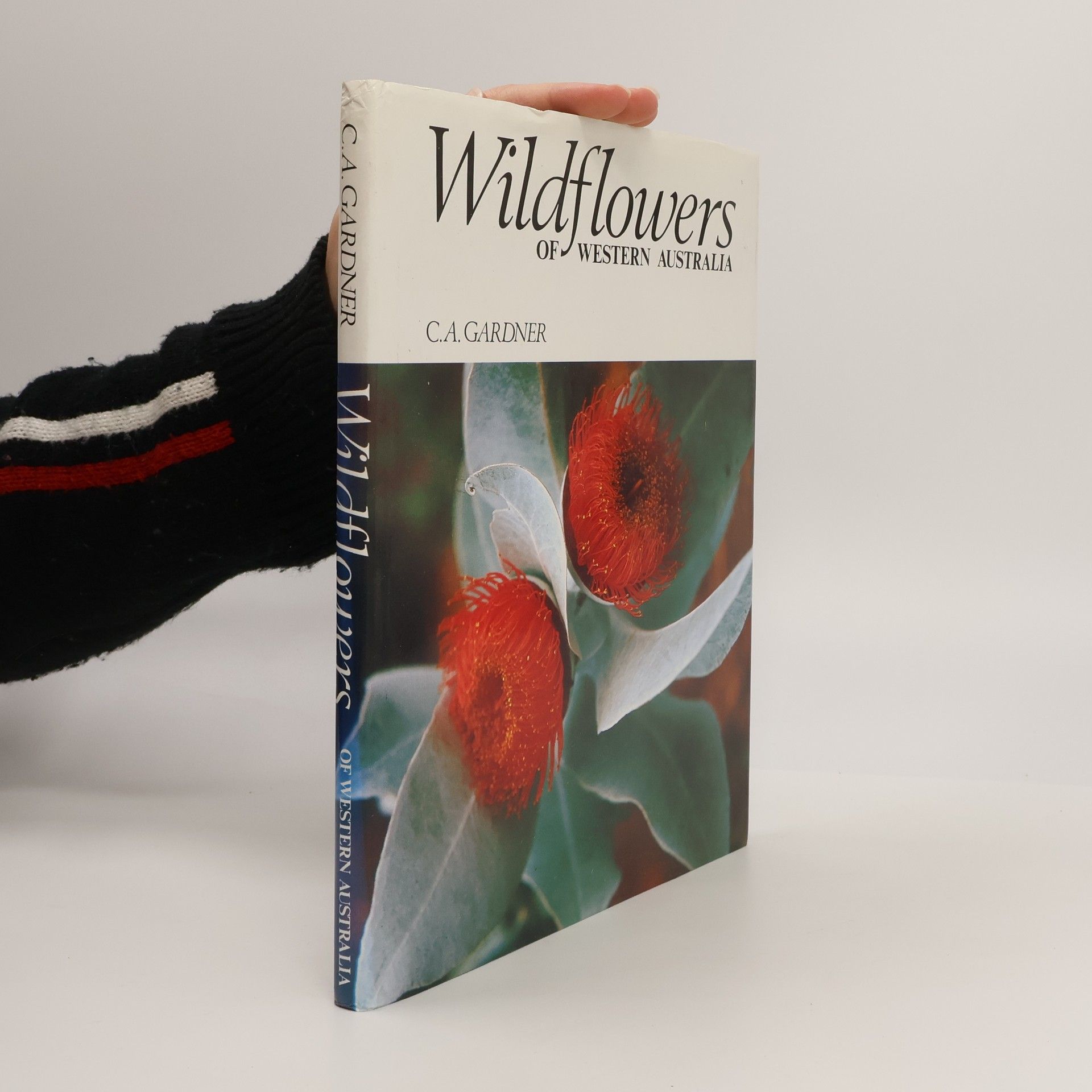 Charles Austin Gardner Wildflowers of Western Australia