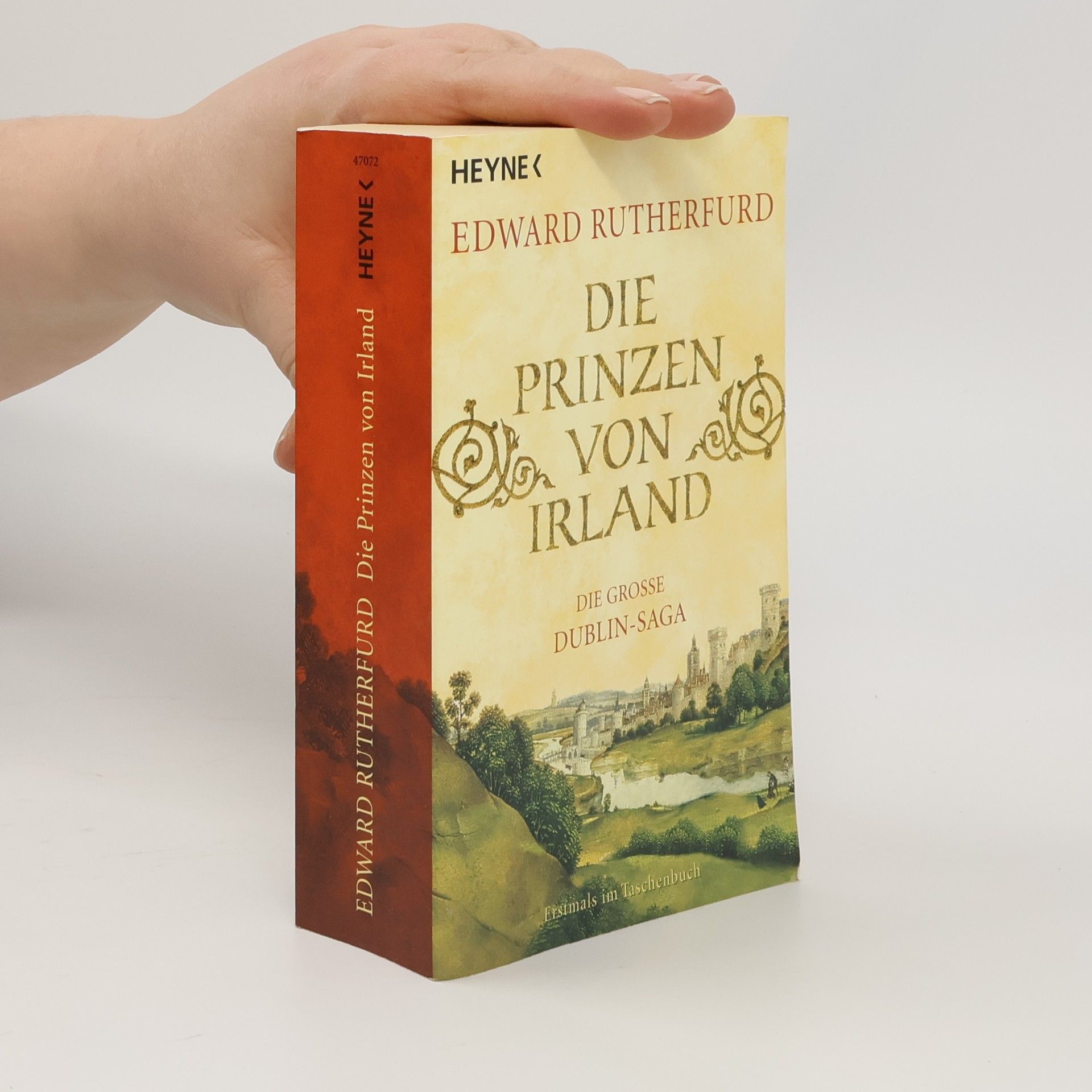 Die große Dublin-Saga. Die Prinzen von Irland