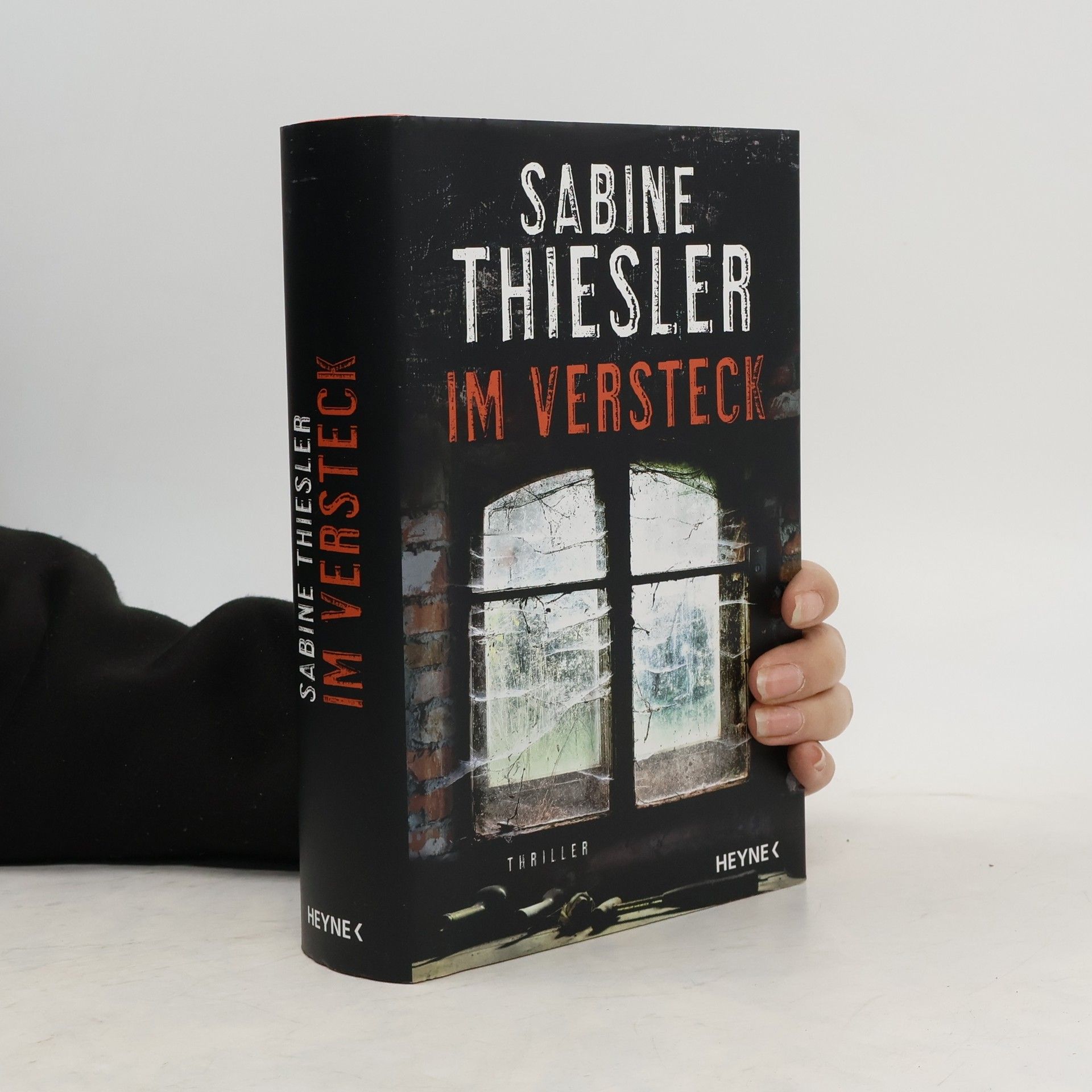 Sabine Thiesler Im Versteck