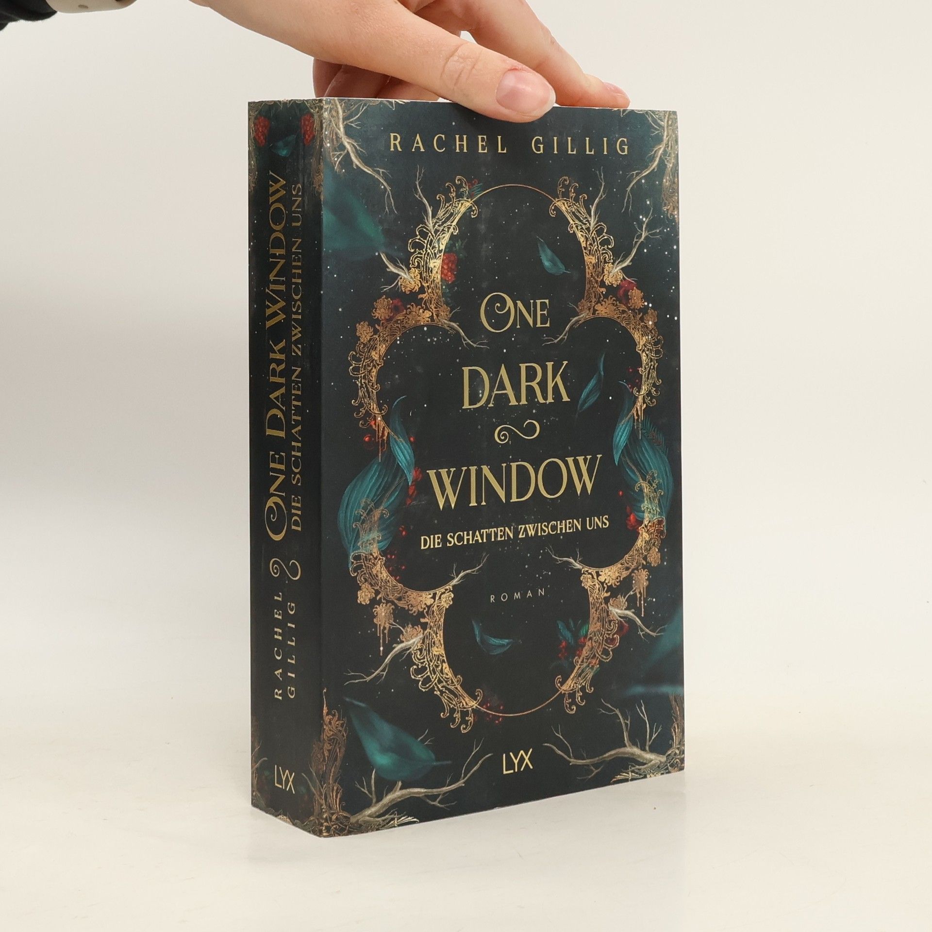 Rachel Gillig One Dark Window - Die Schatten zwischen uns