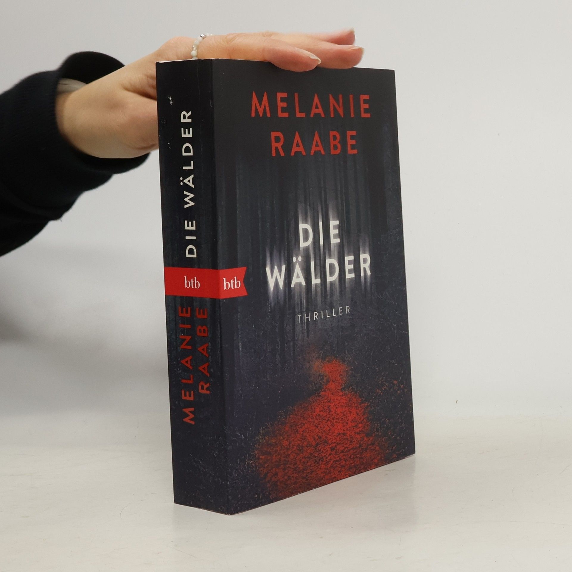 Melanie Raabe Die Wälder