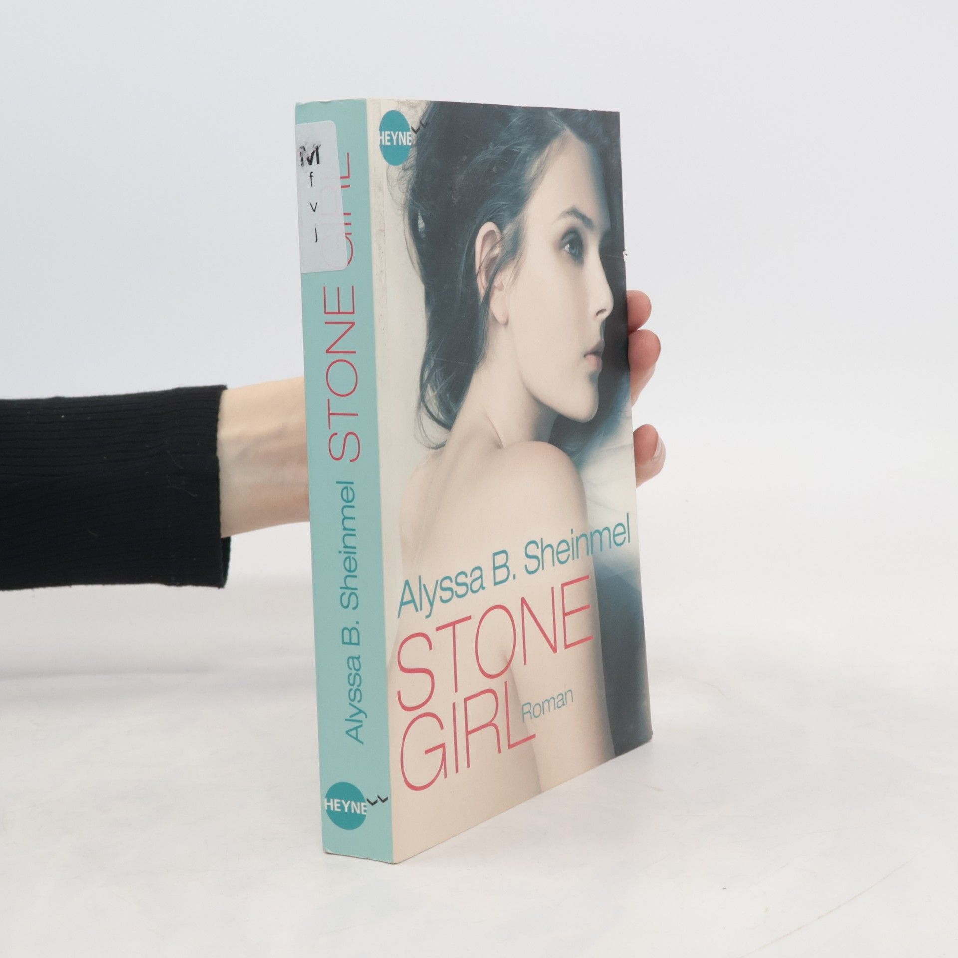 Alyssa B. Sheinmel Stone Girl