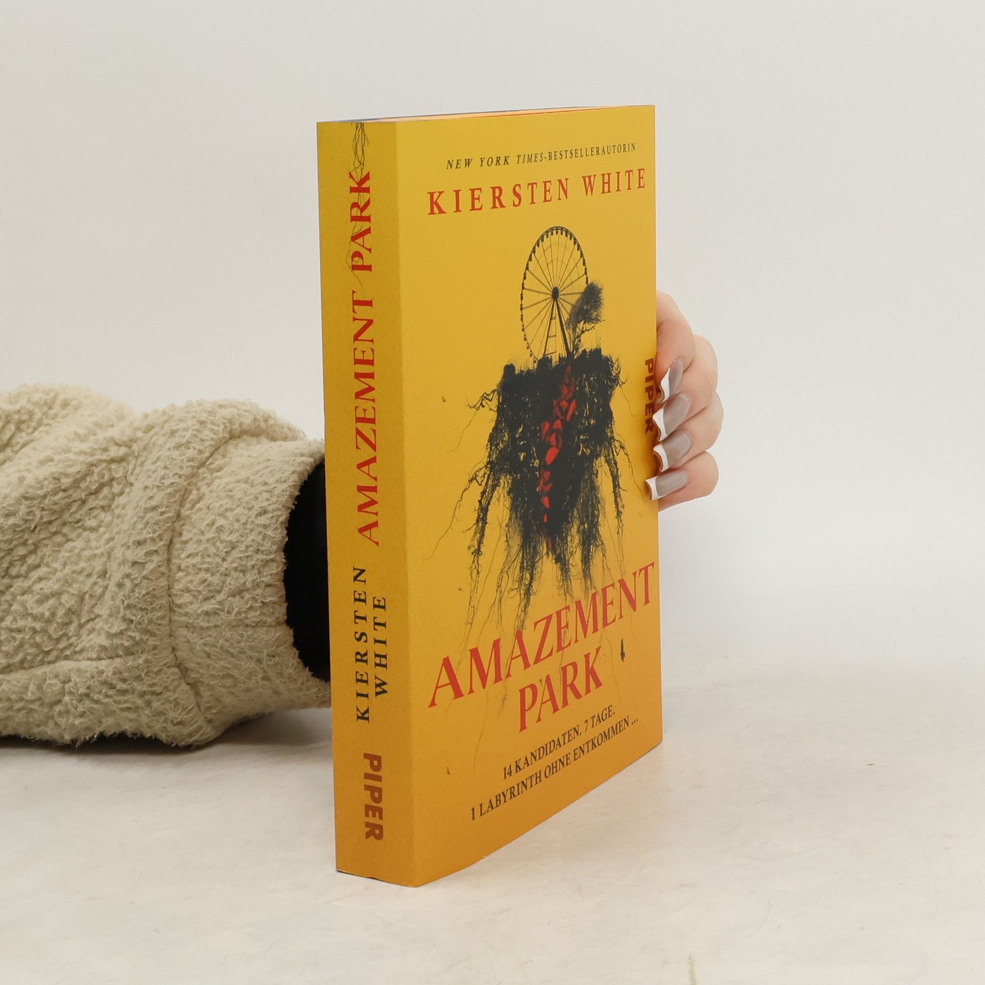 Kiersten White Amazement Park