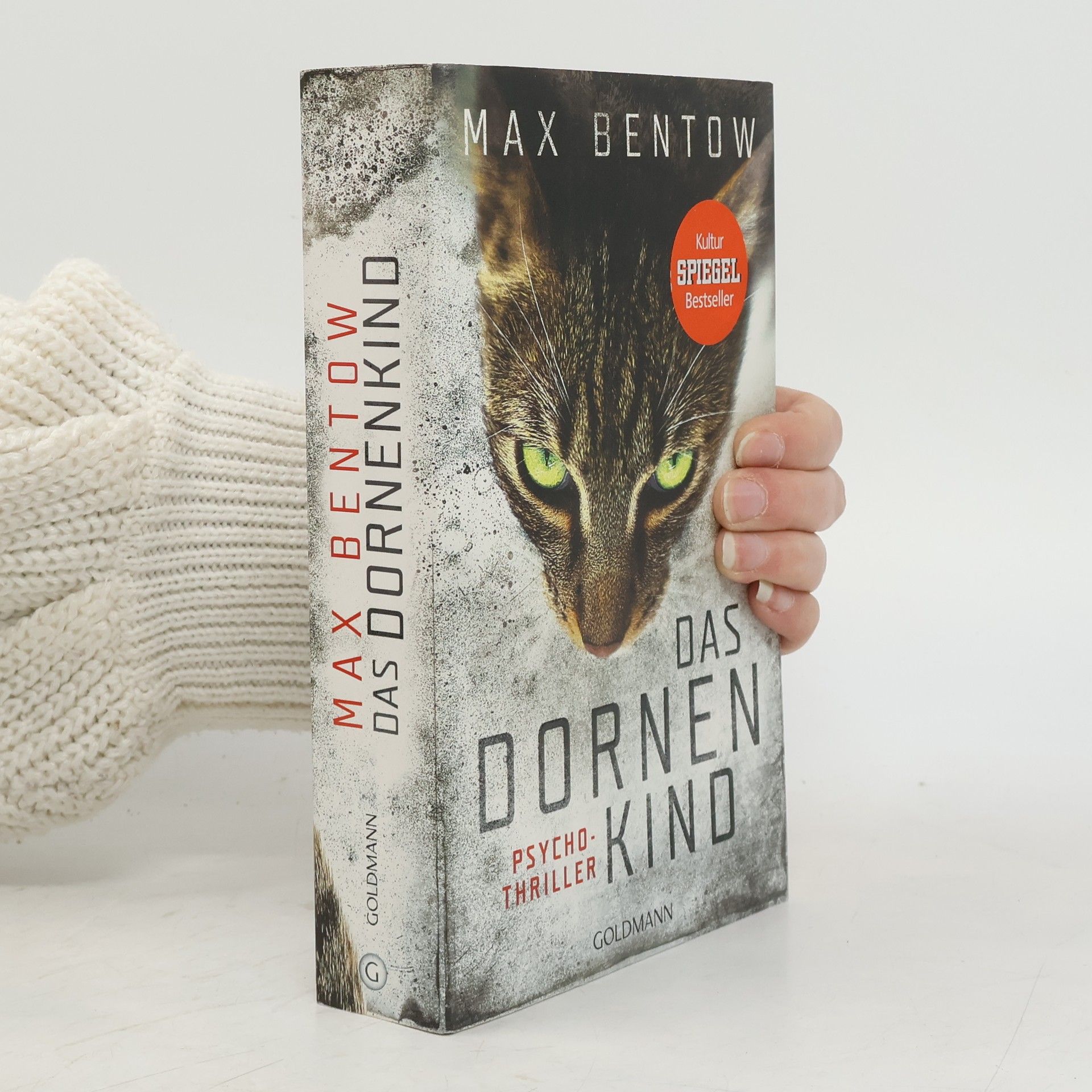 Max Bentow Das Dornenkind