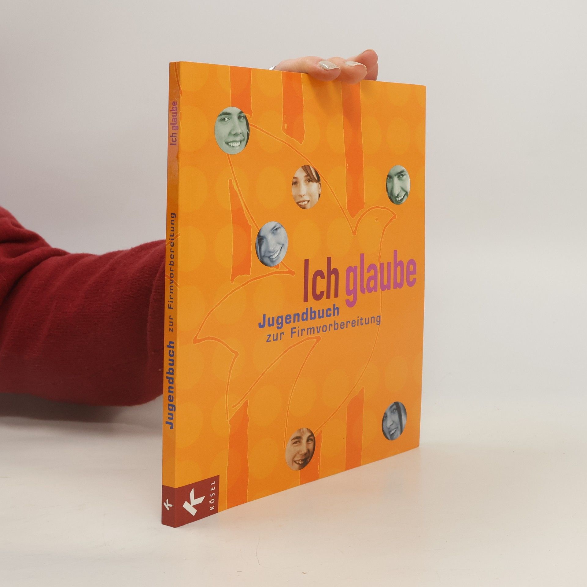 Claudia Hofrichter Jugendbuch zur Firmvorbereitung, Neuausg.