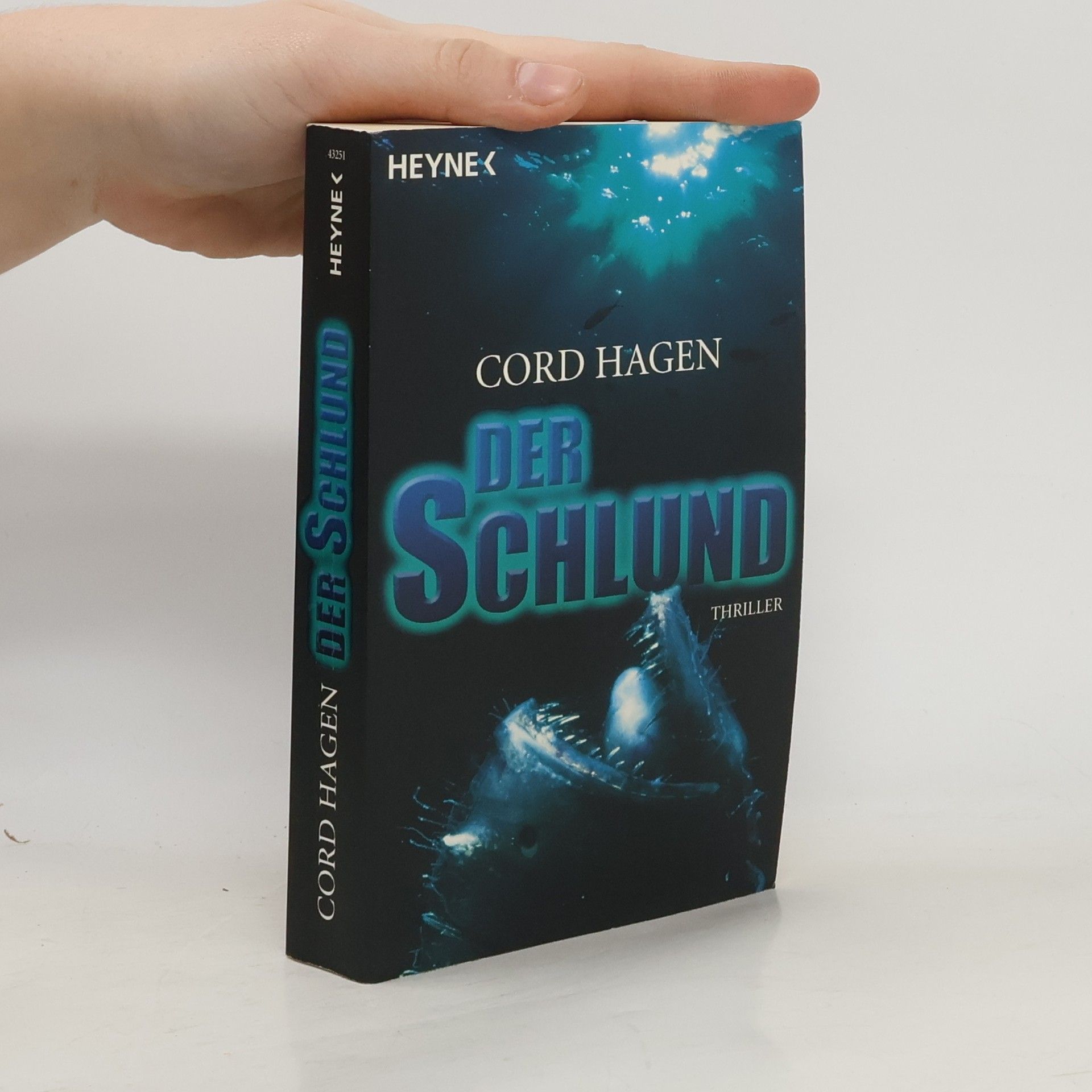 Cord Hagen Der Schlund