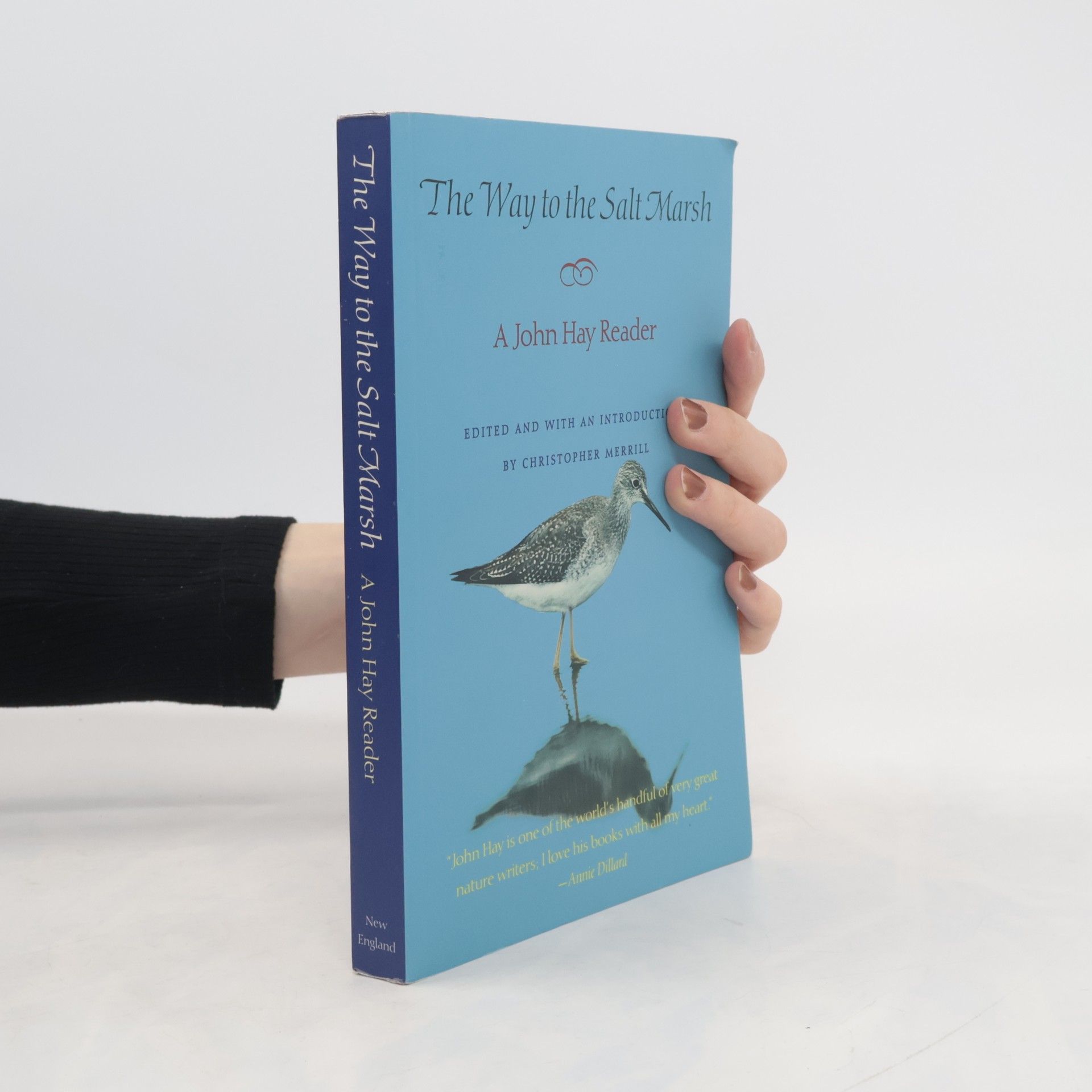 John Hay The Way to the Salt Marsh