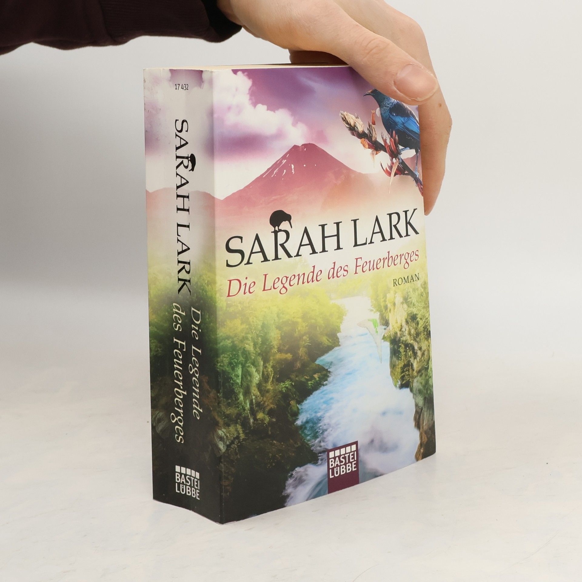 Christiane Gohl Die Legende des Feuerberges