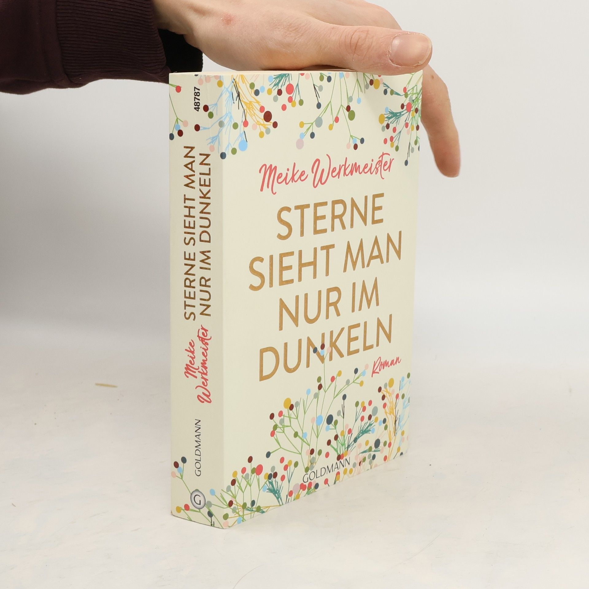 Meike Werkmeister Sterne sieht man nur im Dunkeln