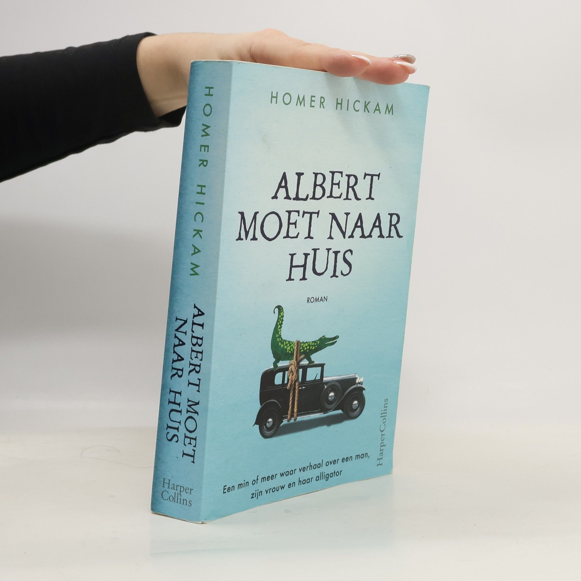 Homer Hadley Hickam Albert moet naar huis