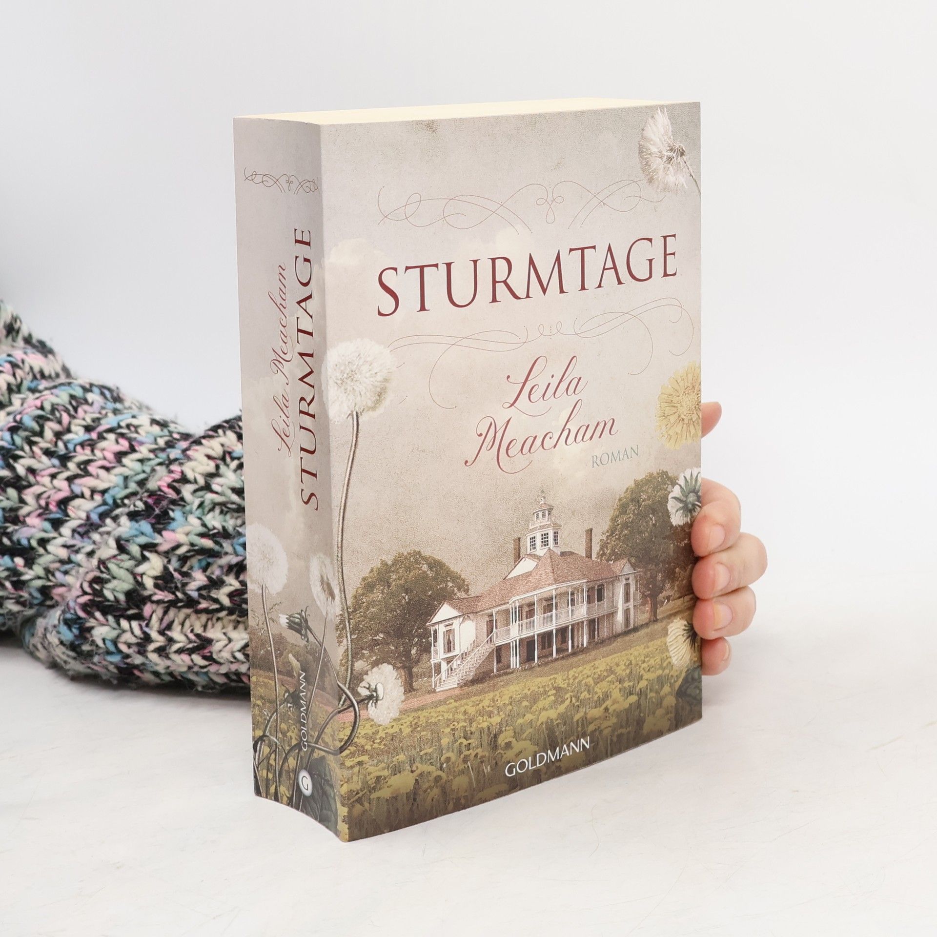 Leila Meacham Sturmtage