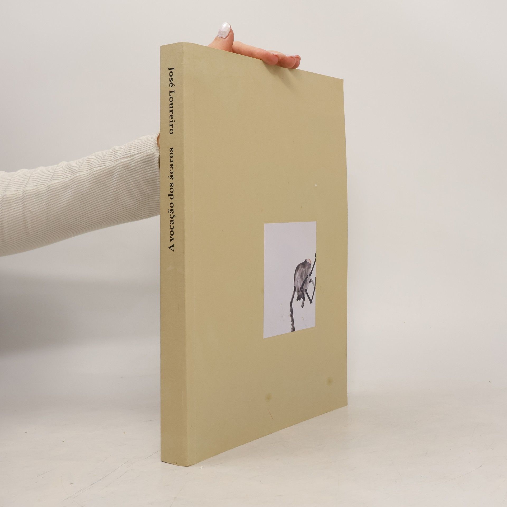 José Loureiro A Vocação dos Ácaros