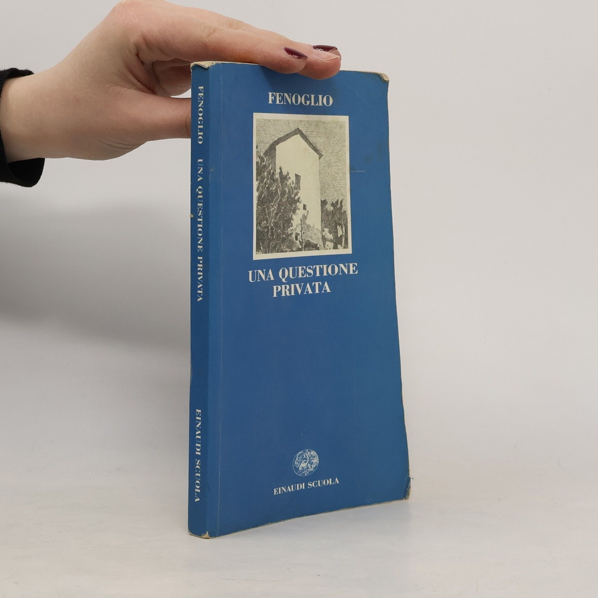 Beppe Fenoglio Letteratura del Novecento: Una questione privata