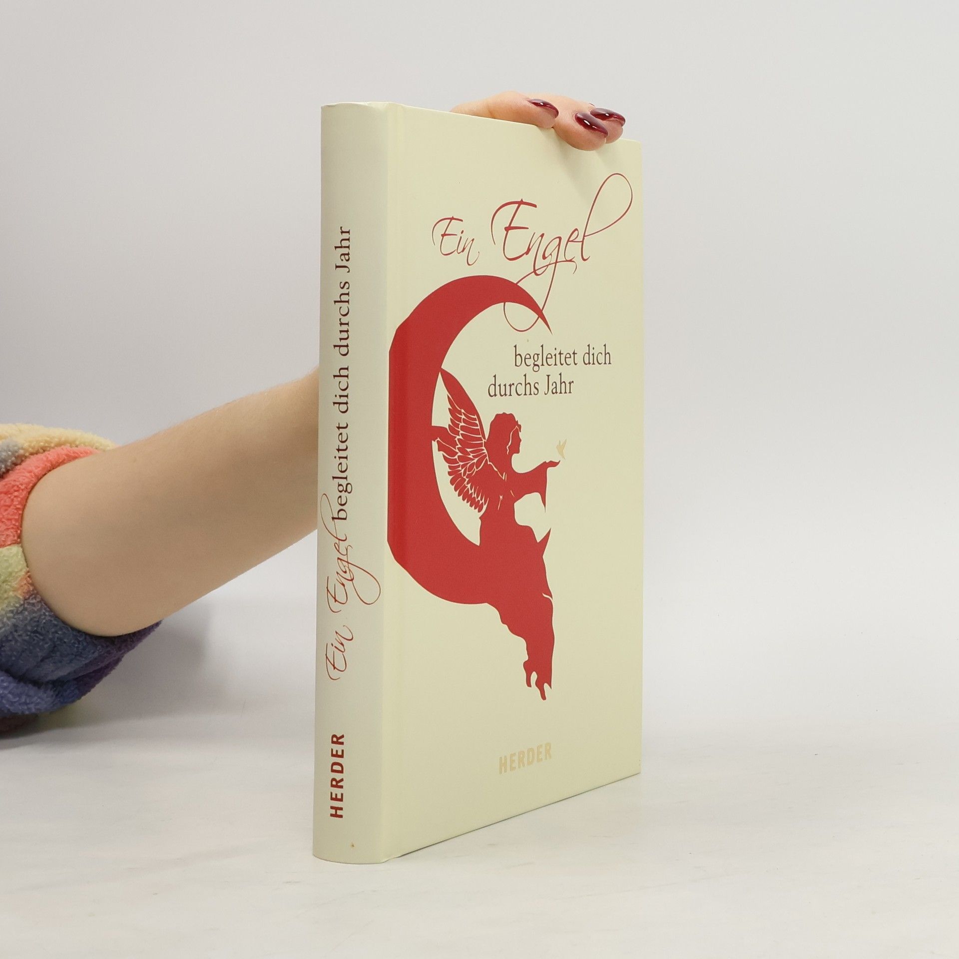 Ludger Hohn-Morisch Ein Engel begleitet dich durchs Jahr