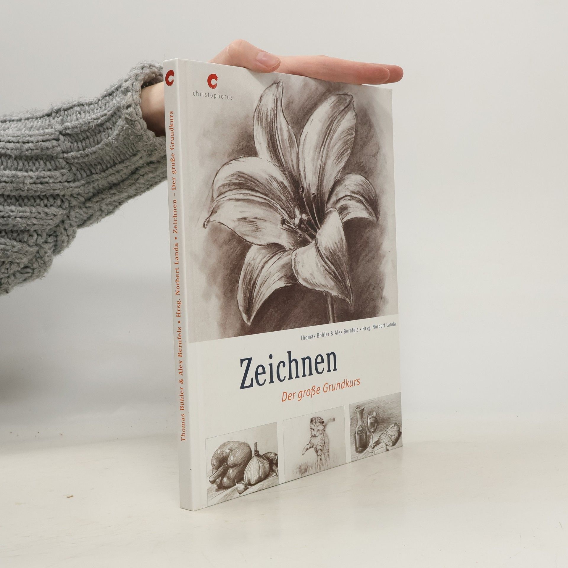 Thomas Böhler Zeichnen - der große Grundkurs