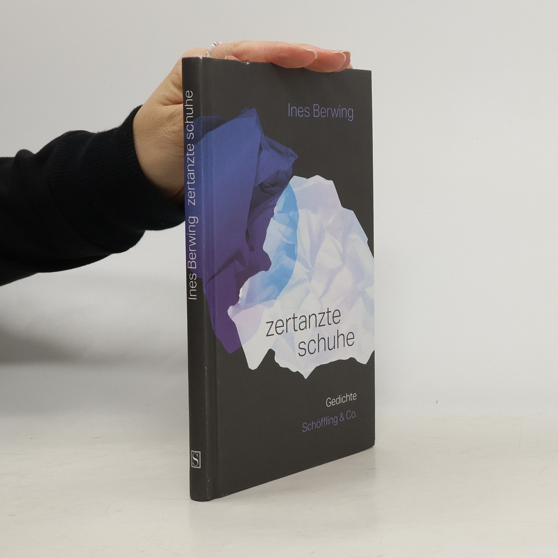 Ines Berwing Zertanzte Schuhe