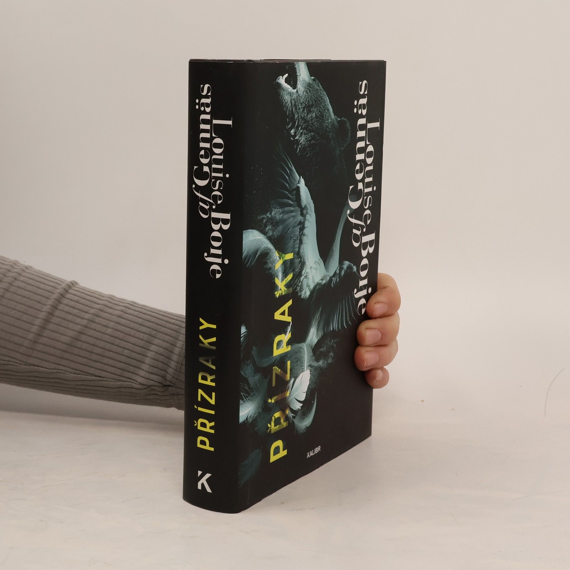 Louise Boije af Gennäs Přízraky