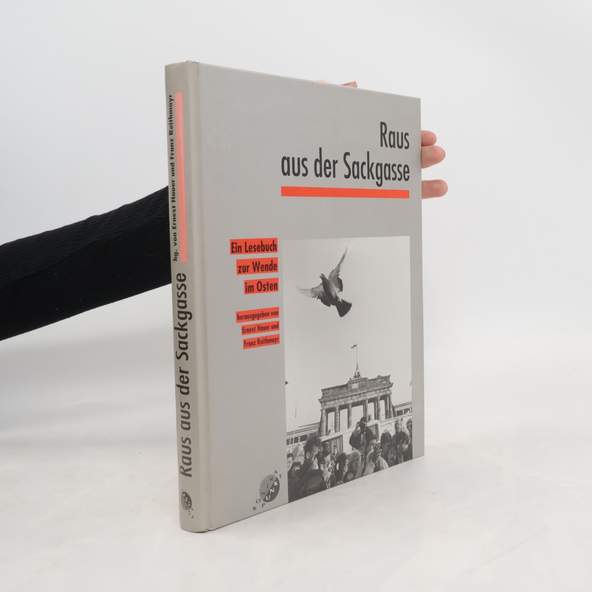 Raus aus der Sackgasse: Ein Lesebuch zur Wende im Osten