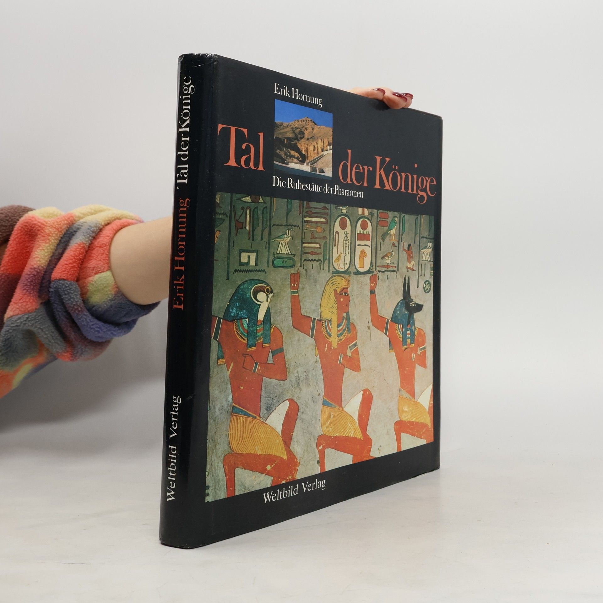 Erik Hornung Tal der Könige