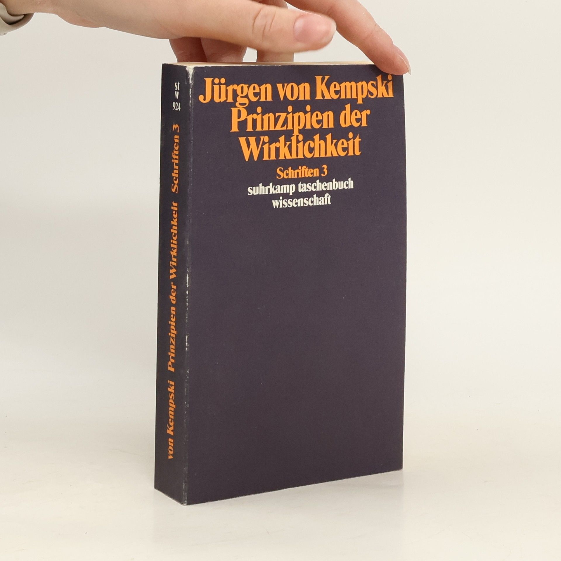 Schriften - 3: Prinzipien der Wirklichkeit